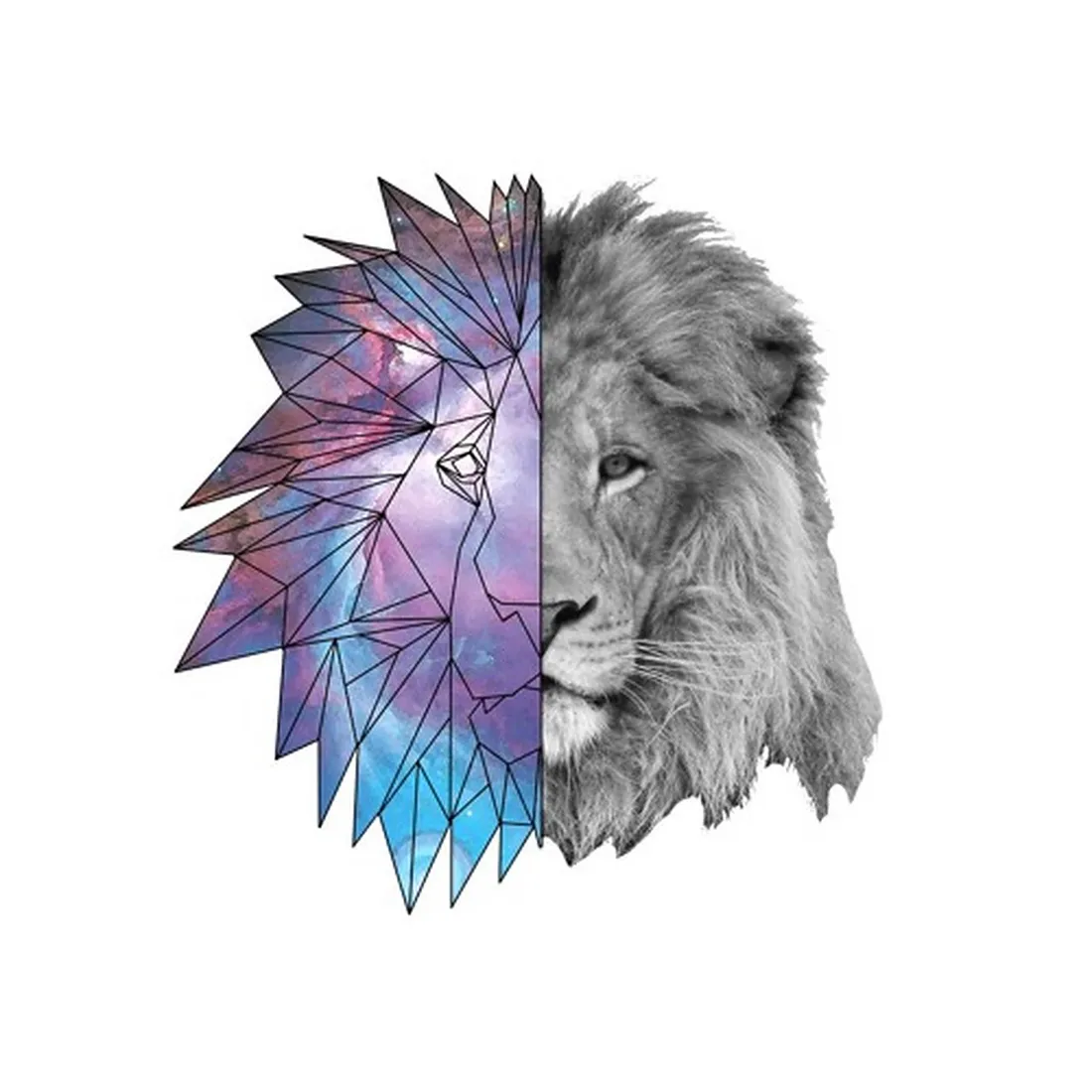 Galaxy Lion