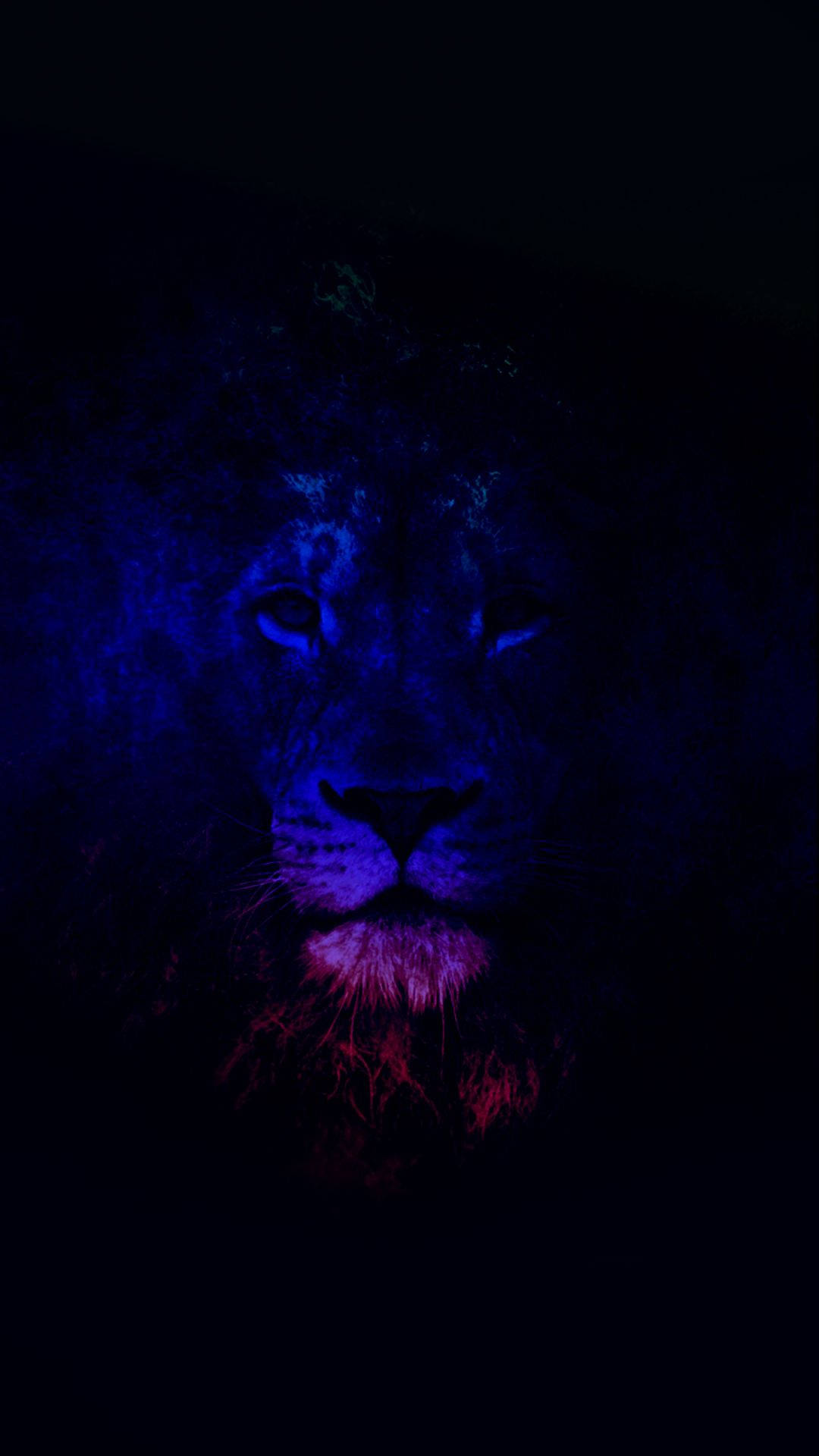 Dark Lion Galaxy, electric blue, magenta, Full HD Phone Wallpaper