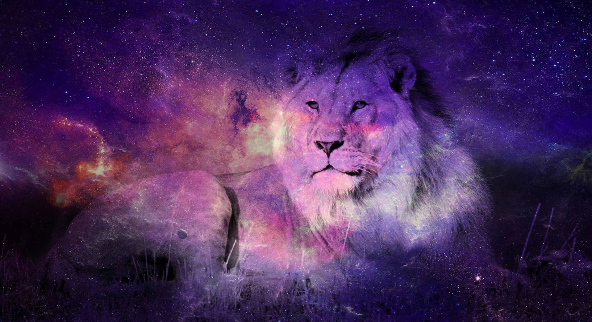 Galaxy Lion, purple nebulae, pink nebulae, HD Desktop Wallpaper