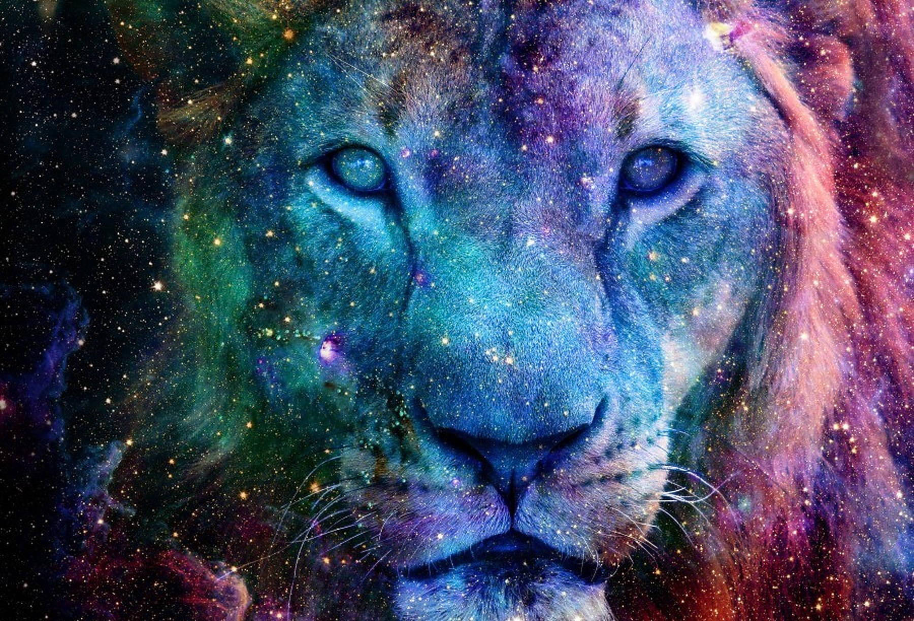 Galaxy Lion, cosmic nebula, stars, HD Desktop Wallpaper