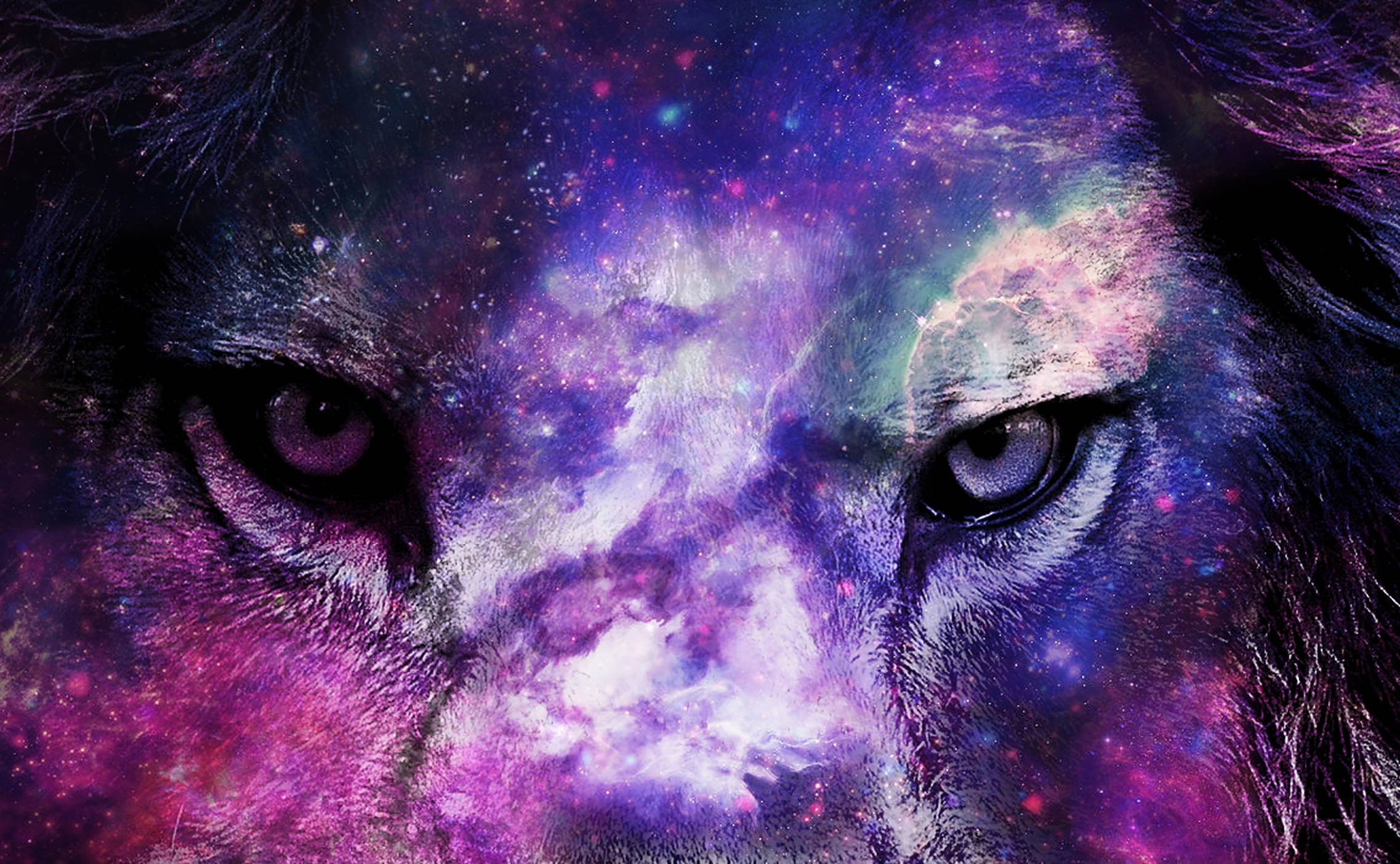 Galaxy Lion, purple, pink, Full HD Desktop Wallpaper