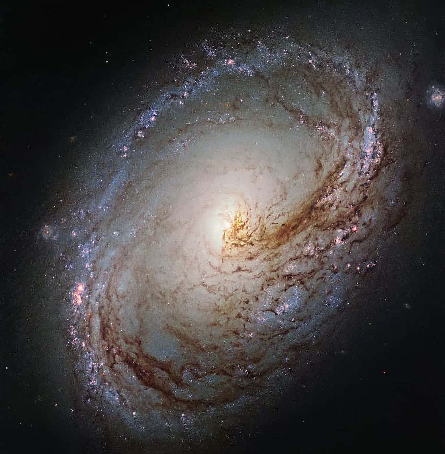 Intermediate Galaxy View, spiral galaxy, glowing arms, SD Phone Wallpaper