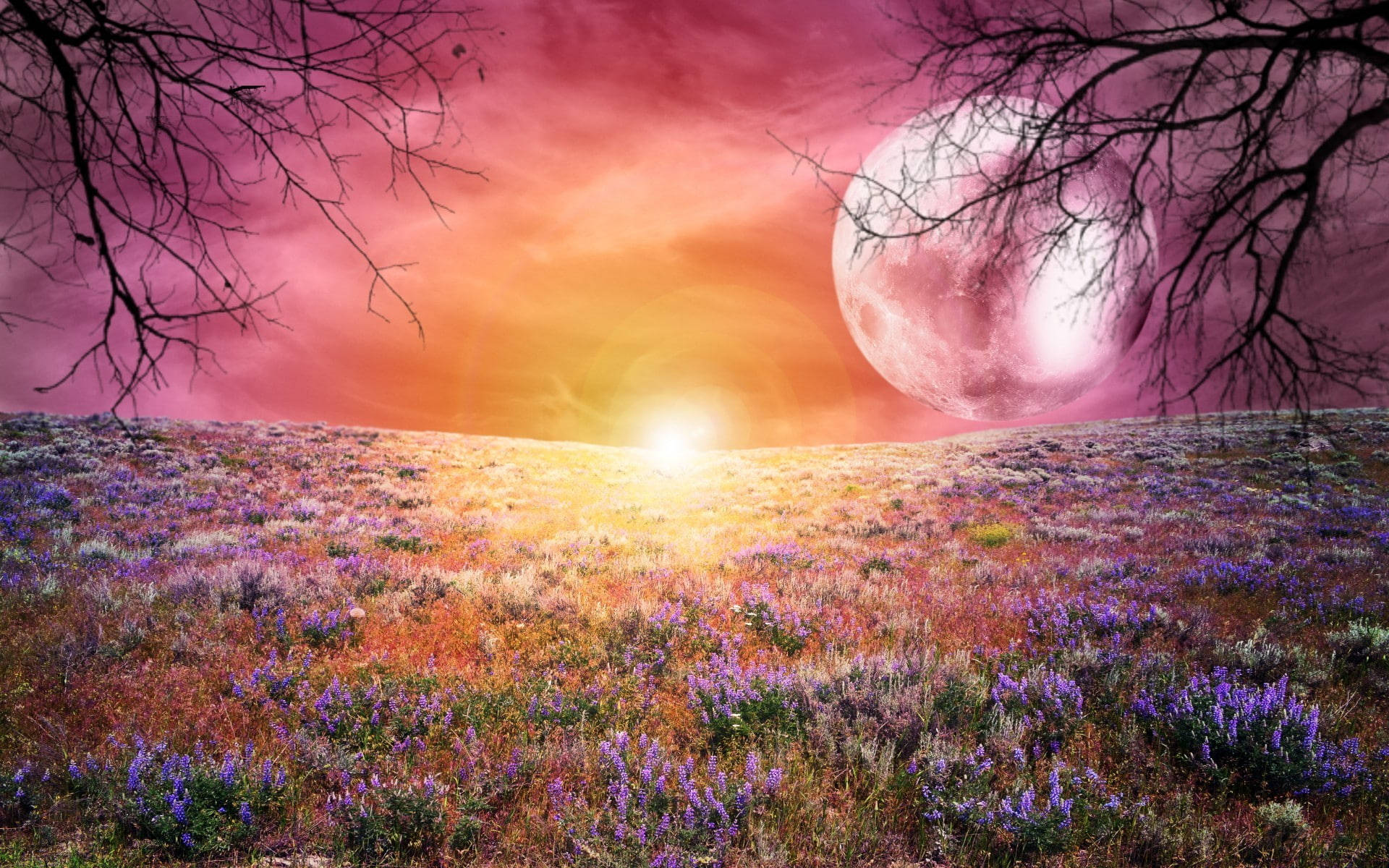 Galaxy Moon, flower field, purple flowers, Full HD Desktop Wallpaper