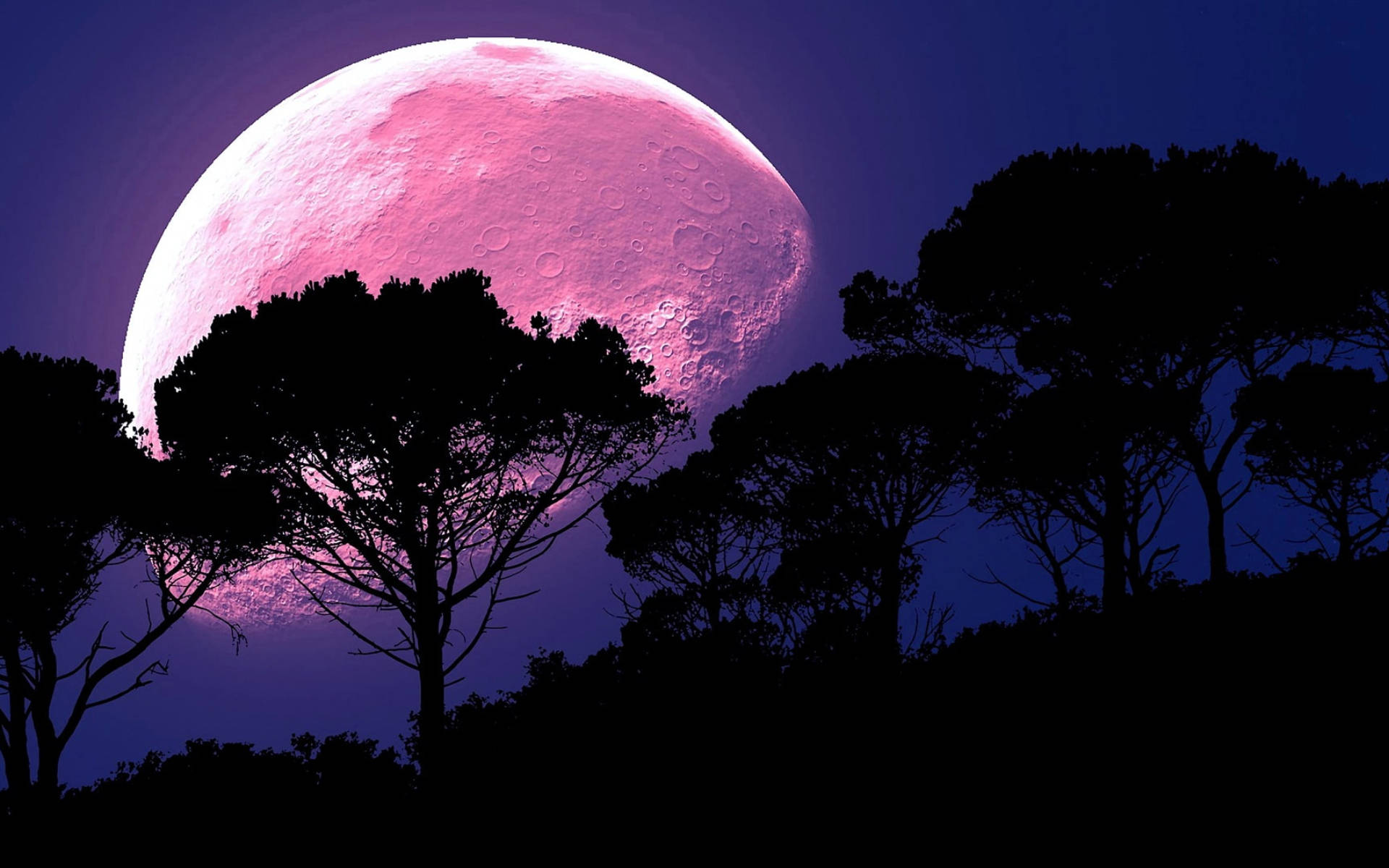 Galaxy Moon, forest, pink moon, Full HD Desktop Wallpaper