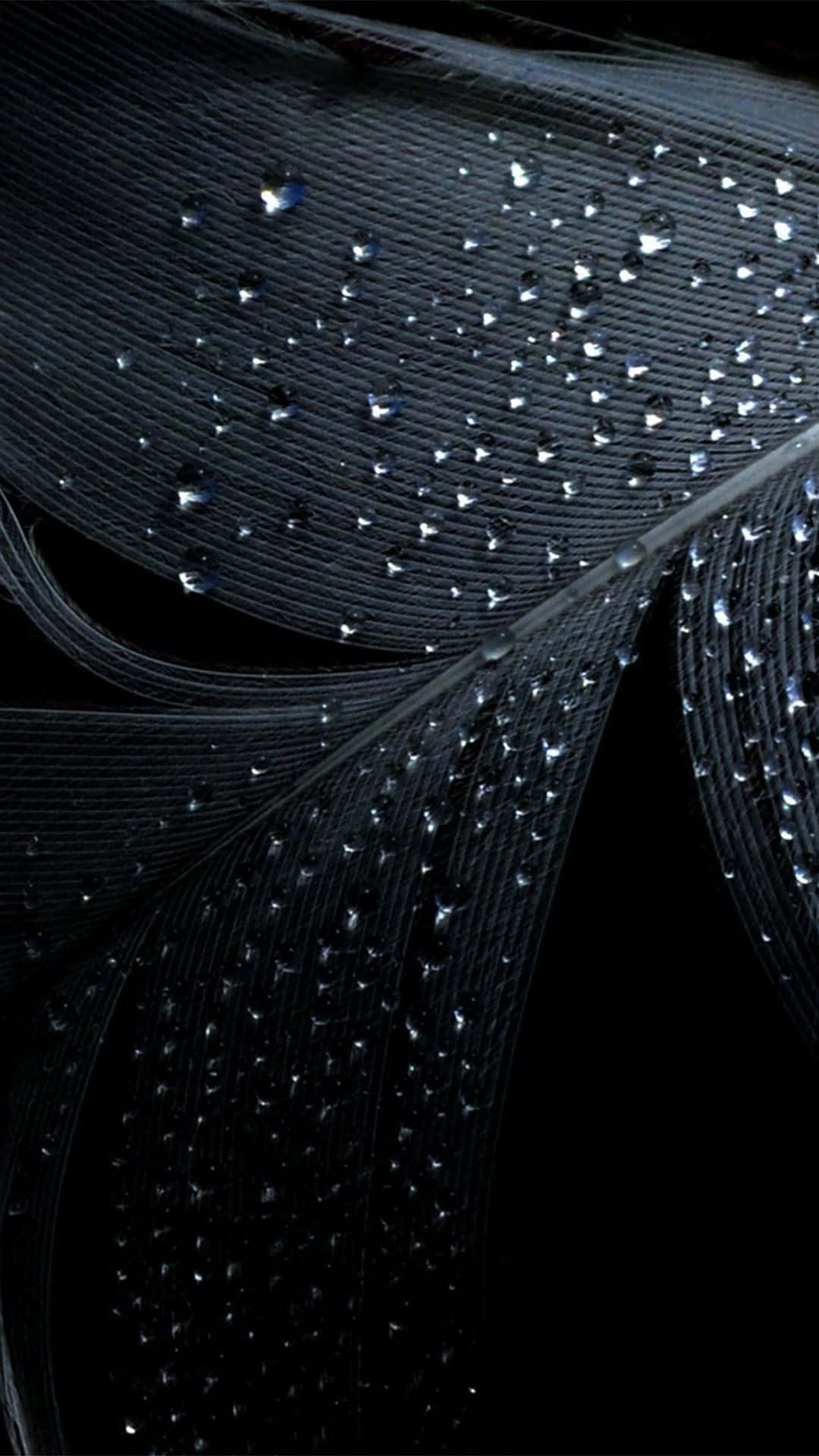 Galaxy Note 4, black, feather, Full HD Phone Wallpaper
