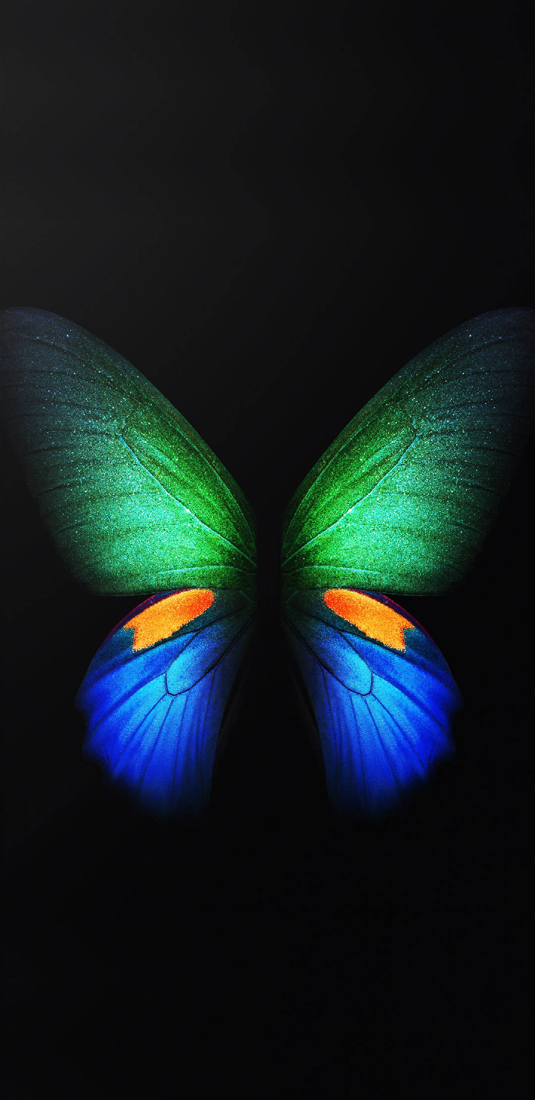 Galaxy S10 Plus, Butterfly Wings, iridescent green, Full HD Phone Wallpaper