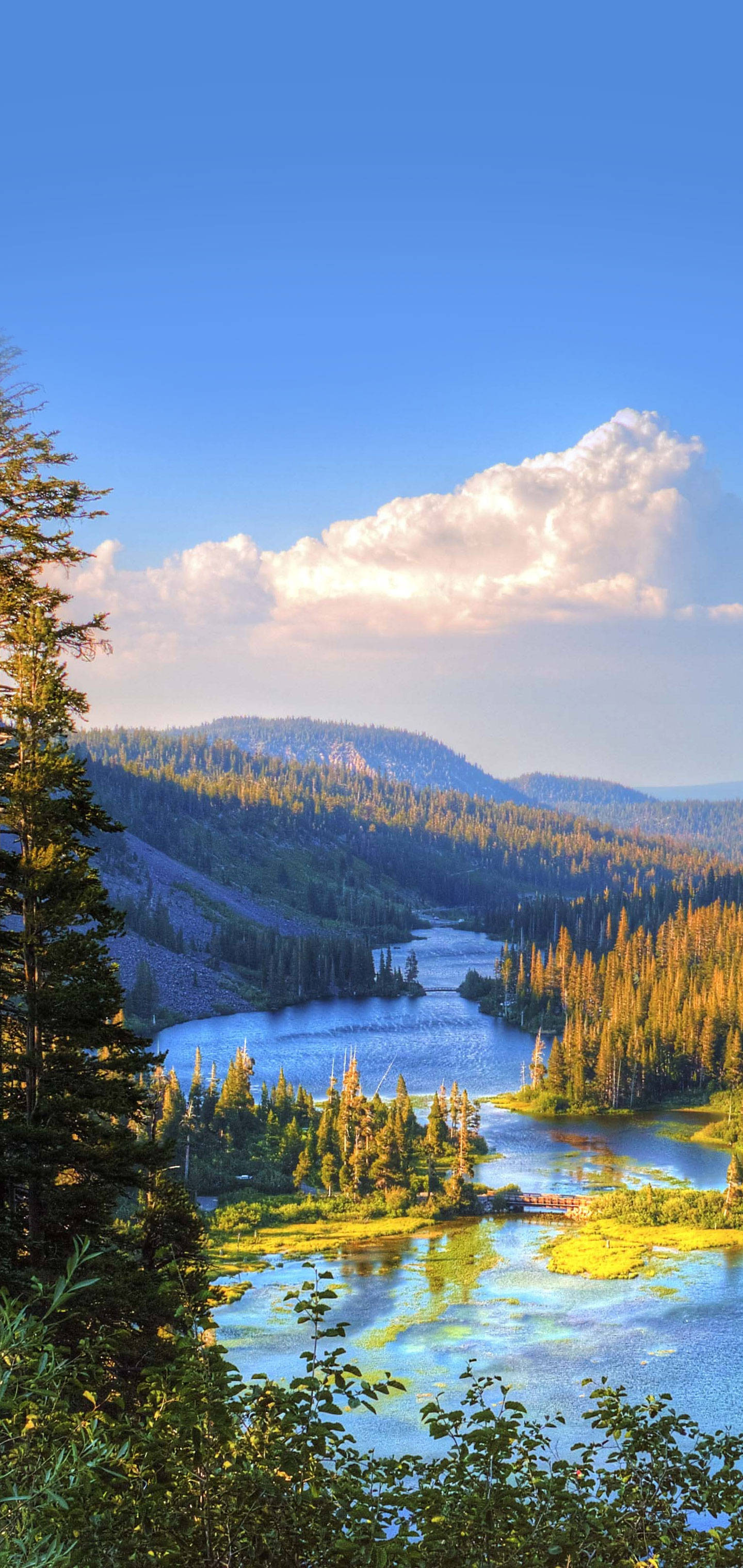 Galaxy S10 Plus, mountain lake, dense forests, 2K Phone Wallpaper