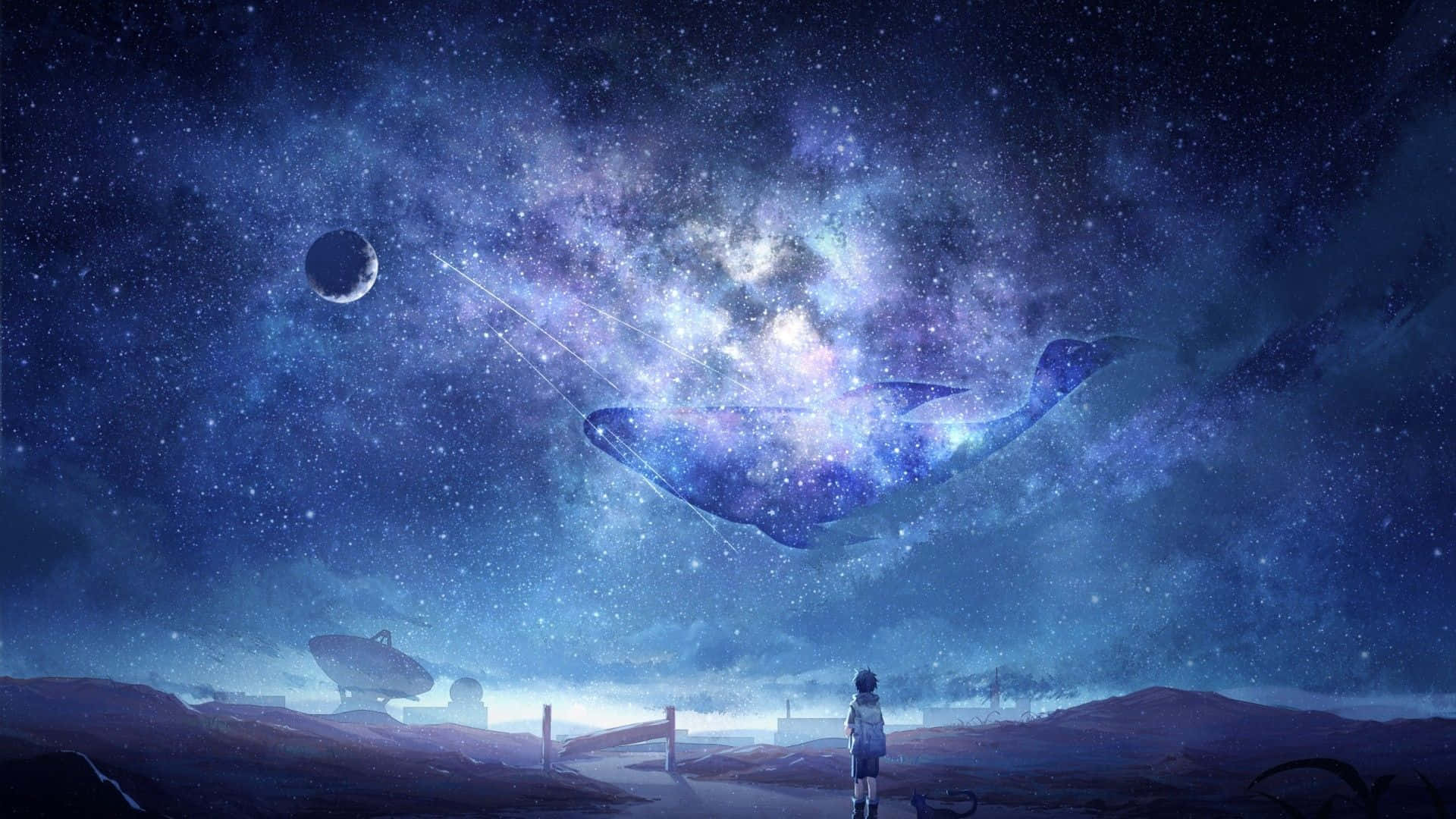 Galaxy Sky, cosmic whale, starry galaxy, Full HD Desktop Wallpaper