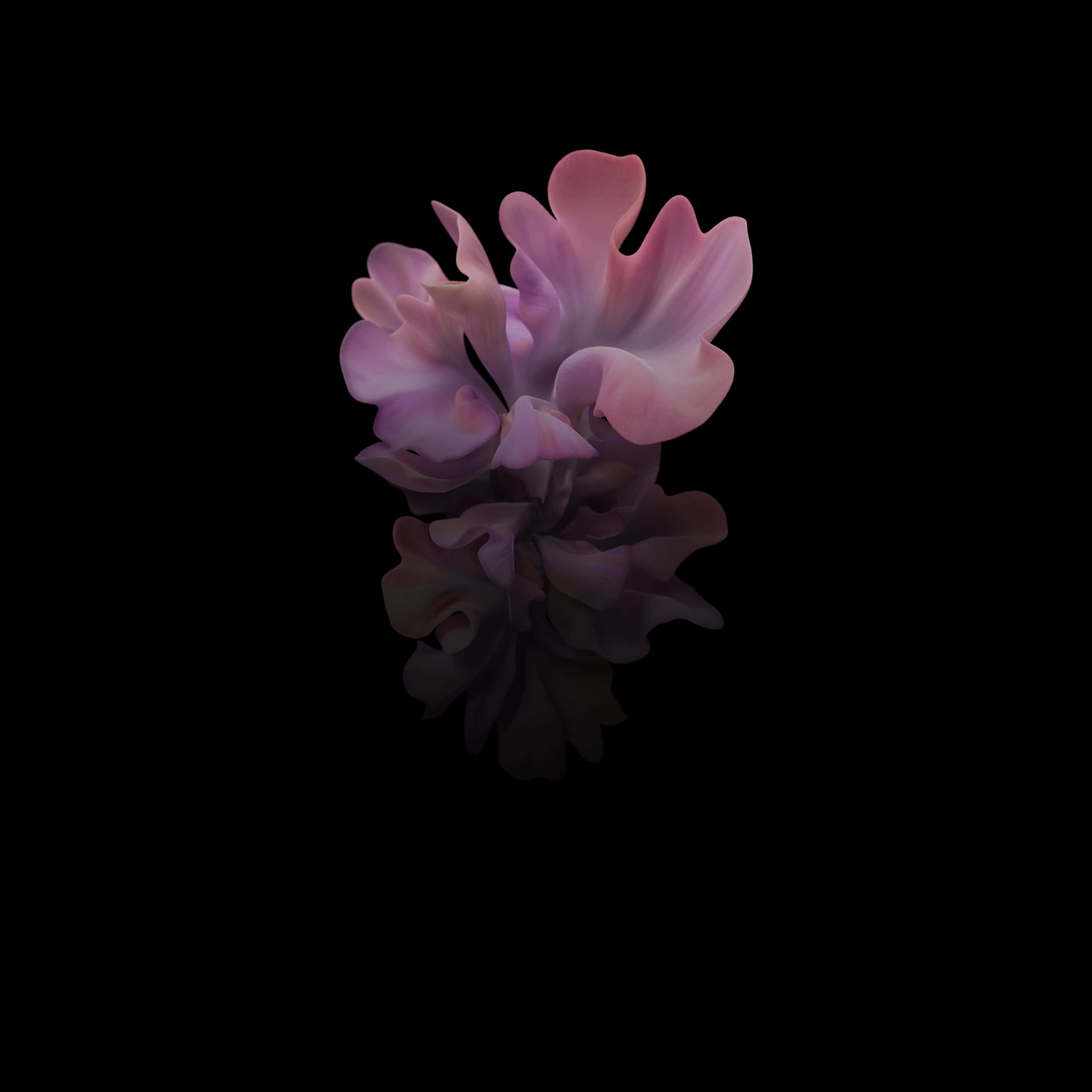 Galaxy Tab, pink, purple, 2K Desktop Wallpaper