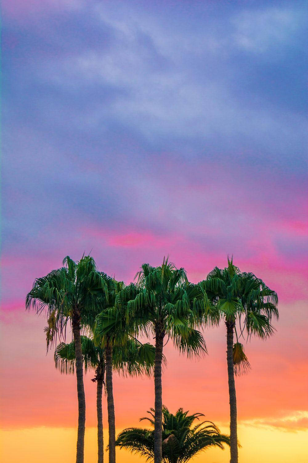 Galaxy Tablet, coconut trees, sunset, HD Phone Wallpaper
