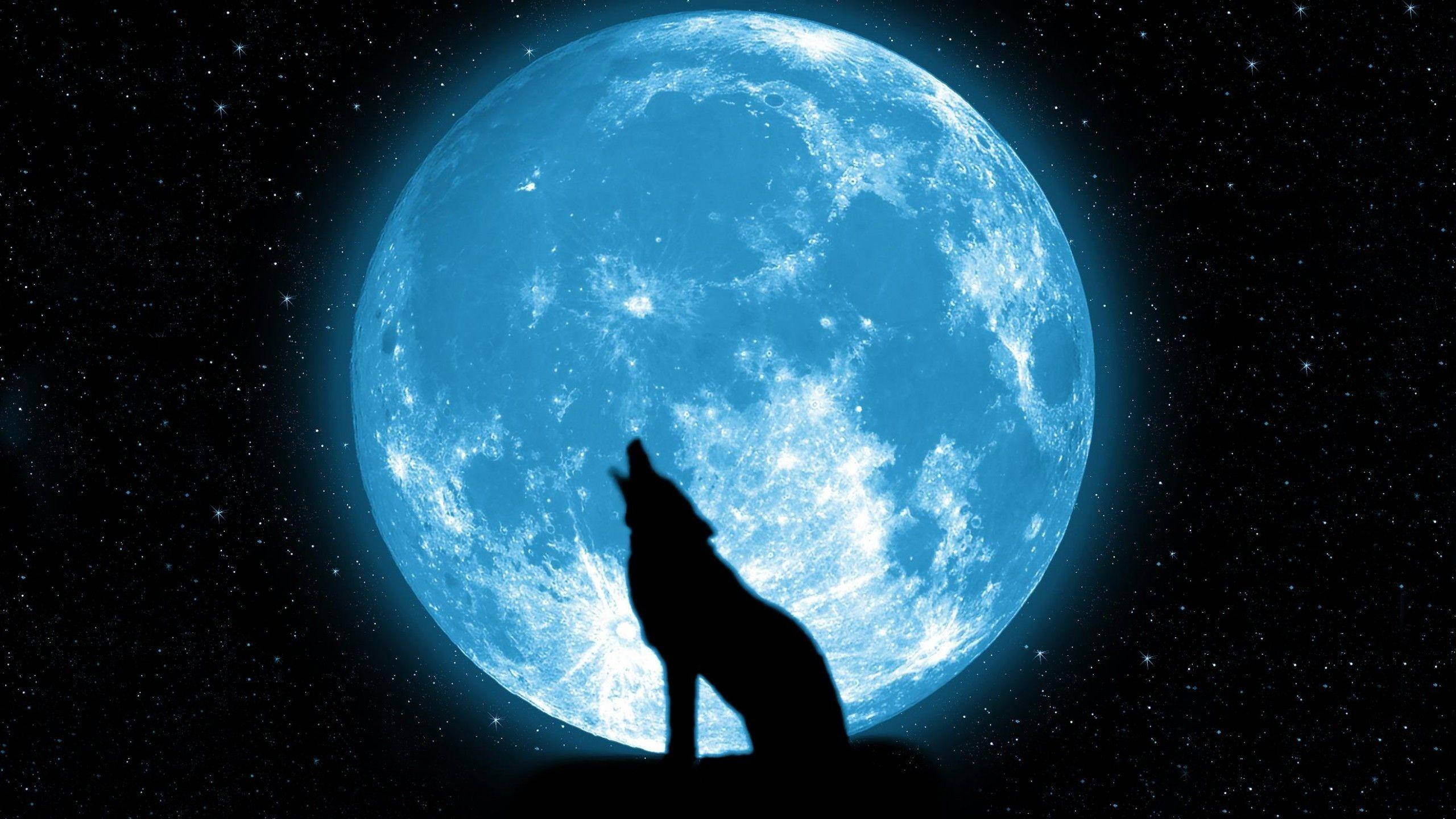 Galaxy wolf, glowing blue moon, starry night sky, 2K Desktop Wallpaper