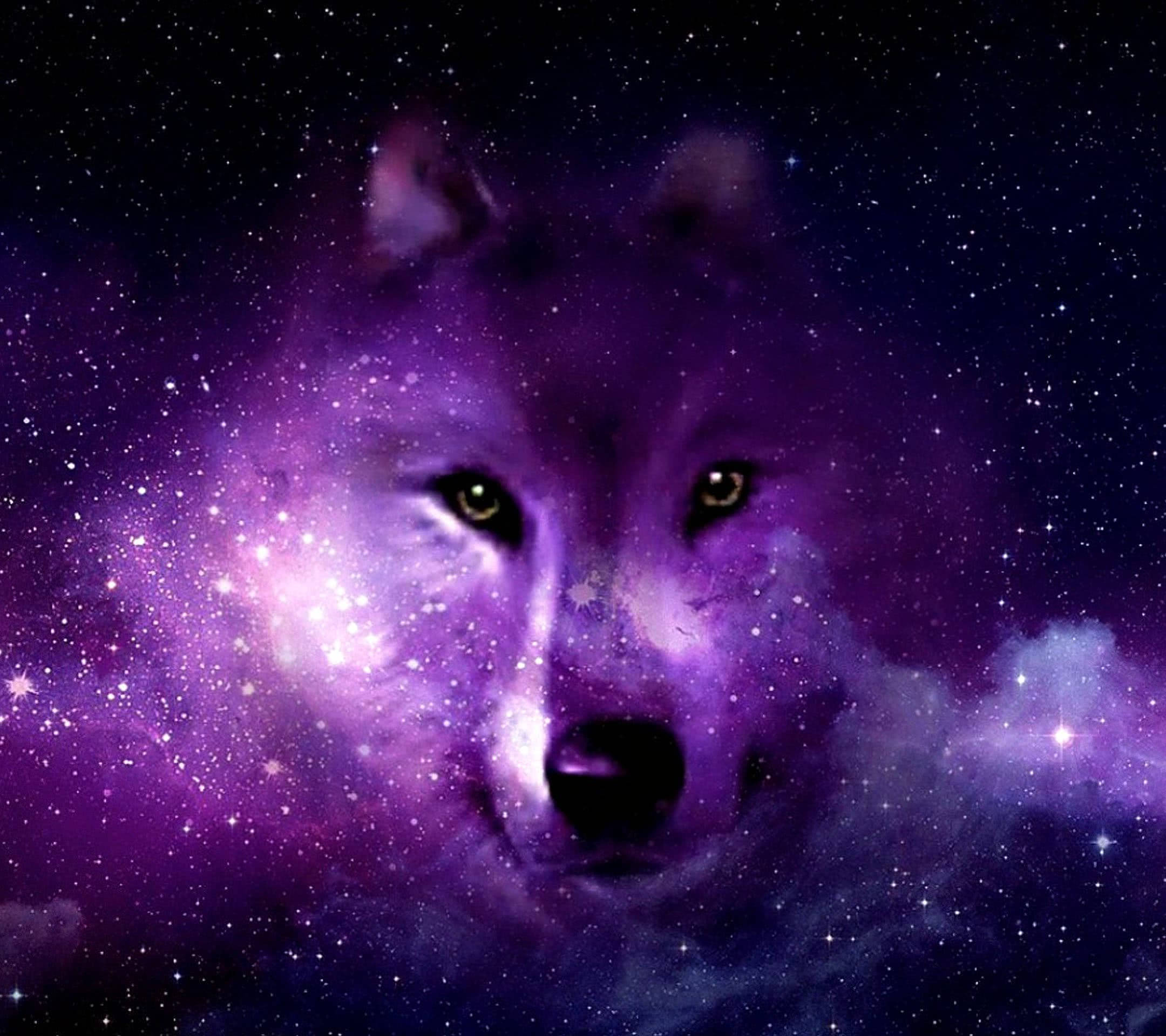 Galaxy wolf, purple galaxy, stars, Full HD Desktop Wallpaper