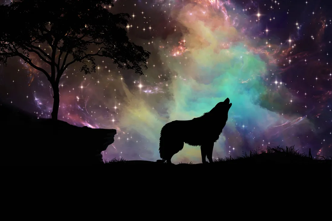 Galaxy Wolves