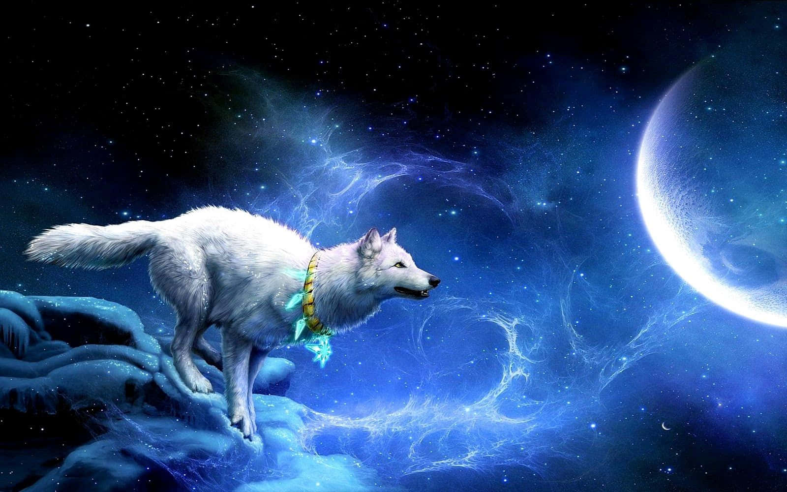 Galaxy Wolves, iPhone Screen Theme, white wolf, HD Desktop Wallpaper