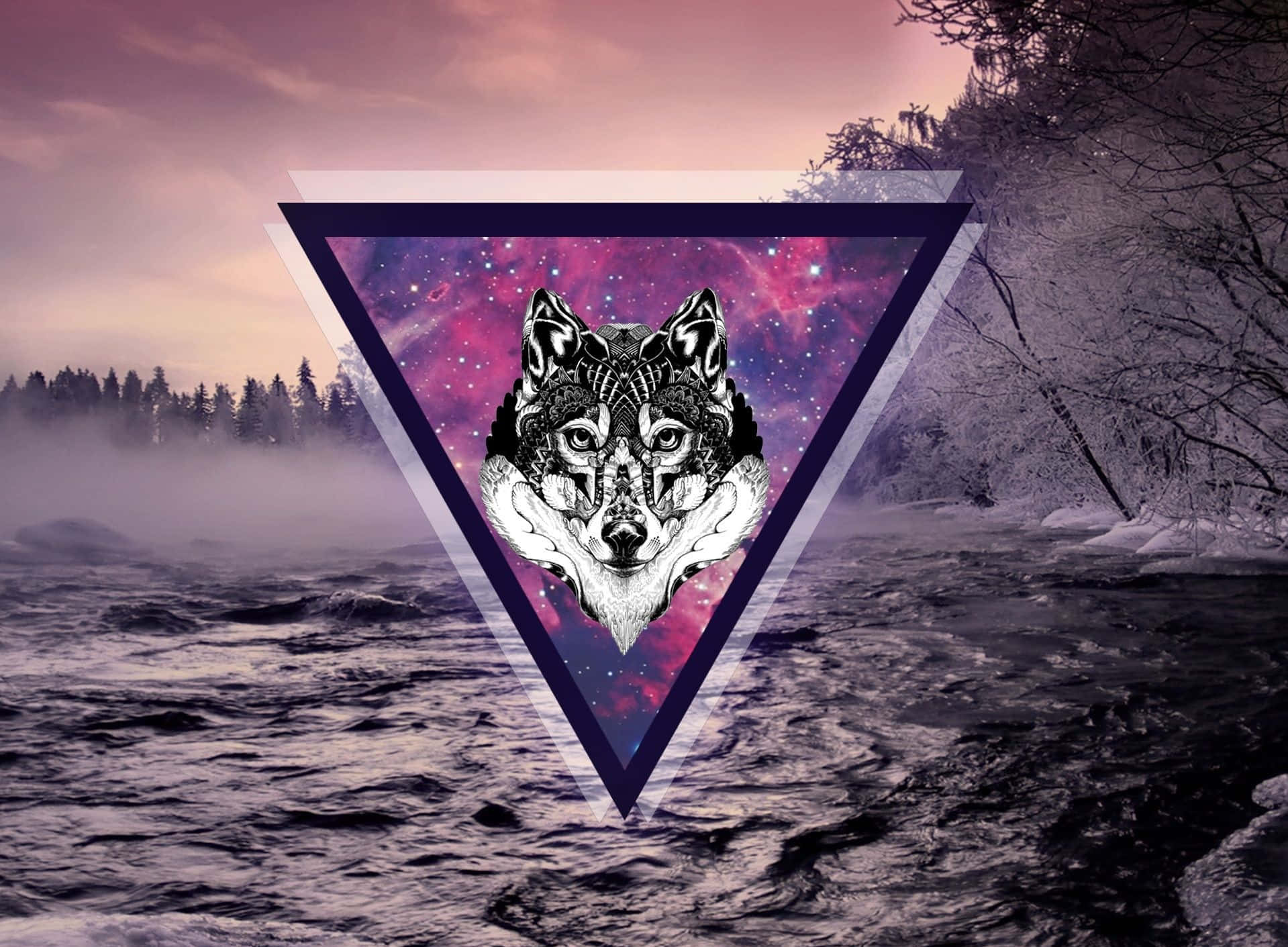 Galaxy Wolves, iPhone Screen Theme, wolf head, HD Desktop Wallpaper