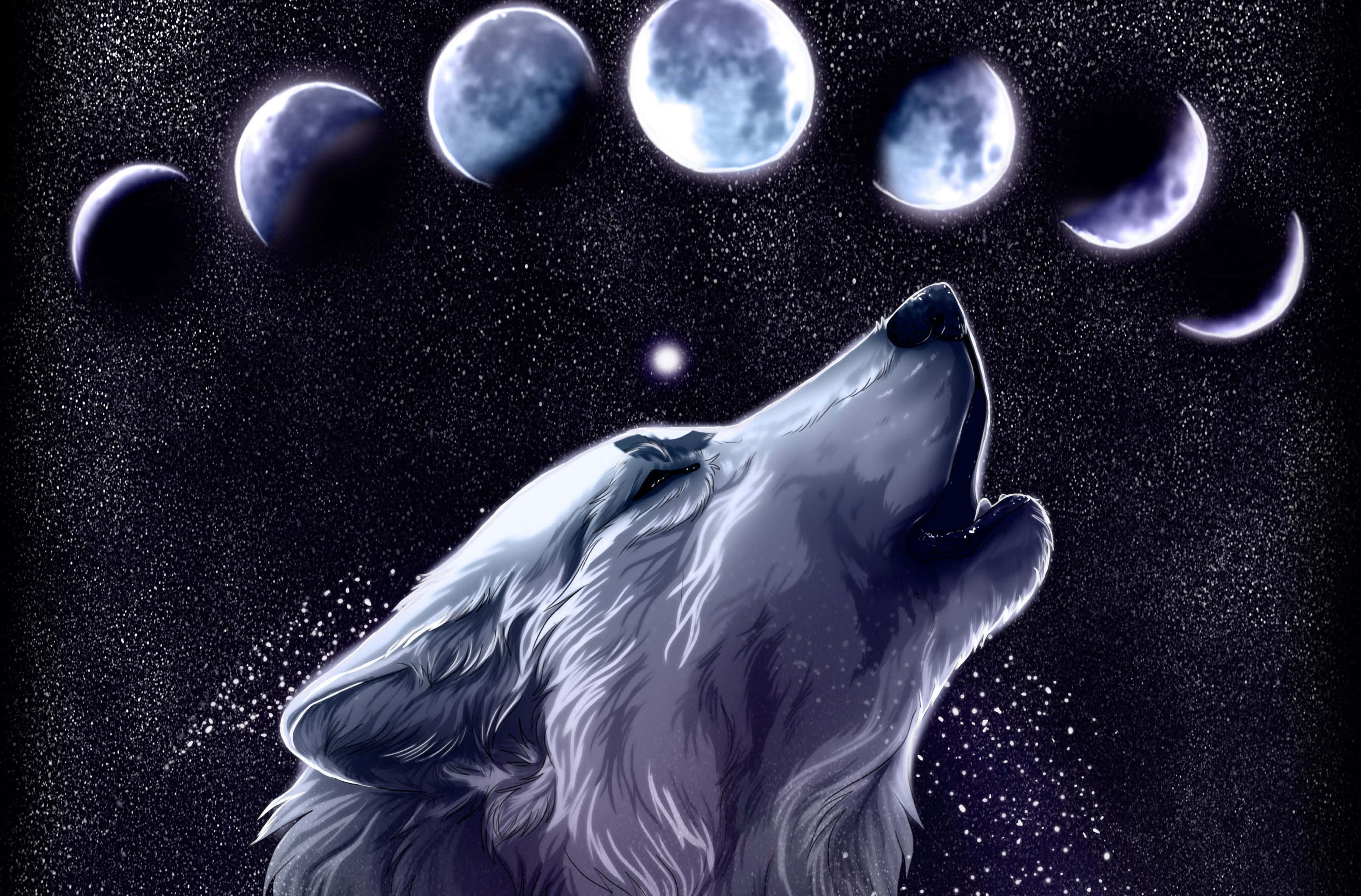 Galaxy Wolves, white wolf, seven moon phases, 2K Desktop Wallpaper