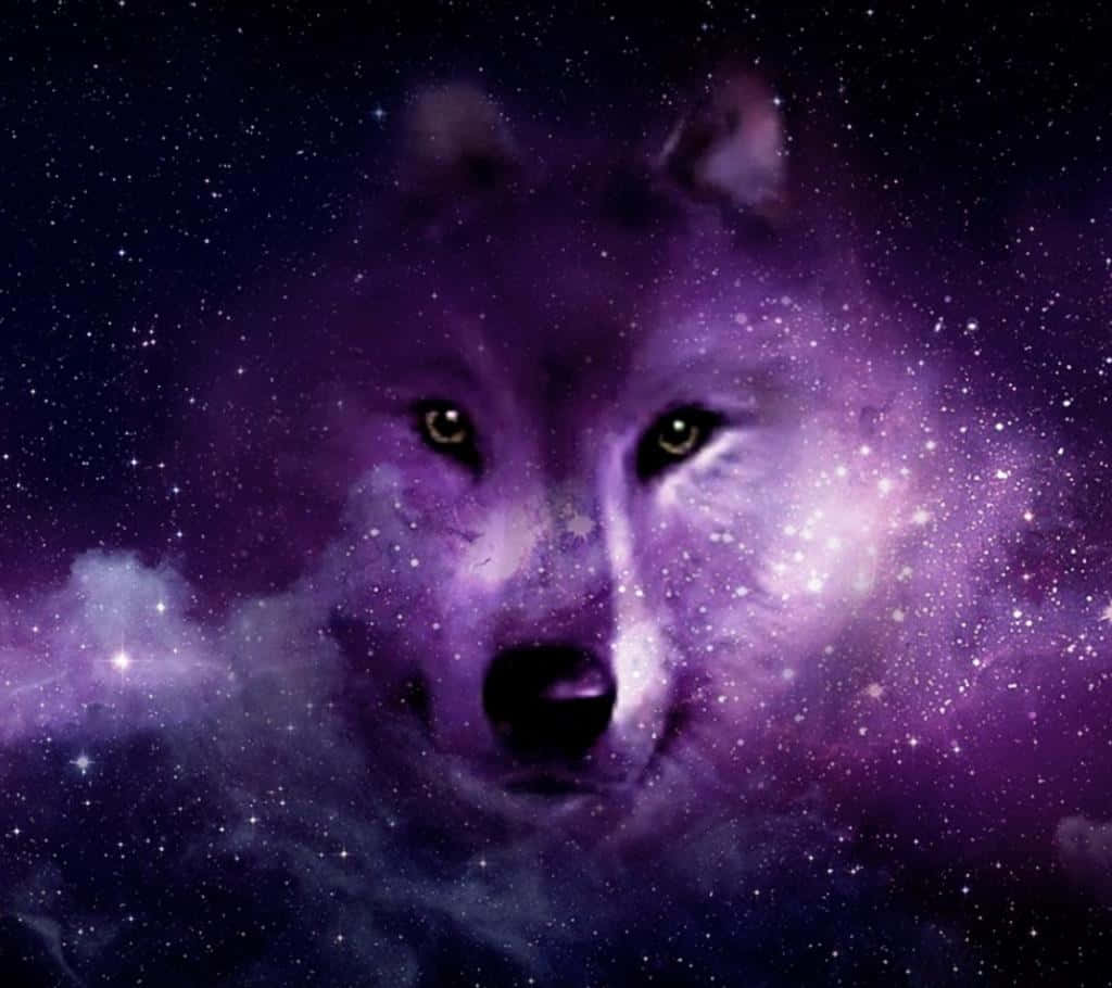 Galaxy Wolves, iPhone Screen Theme, purple nebulae, SD Desktop Wallpaper