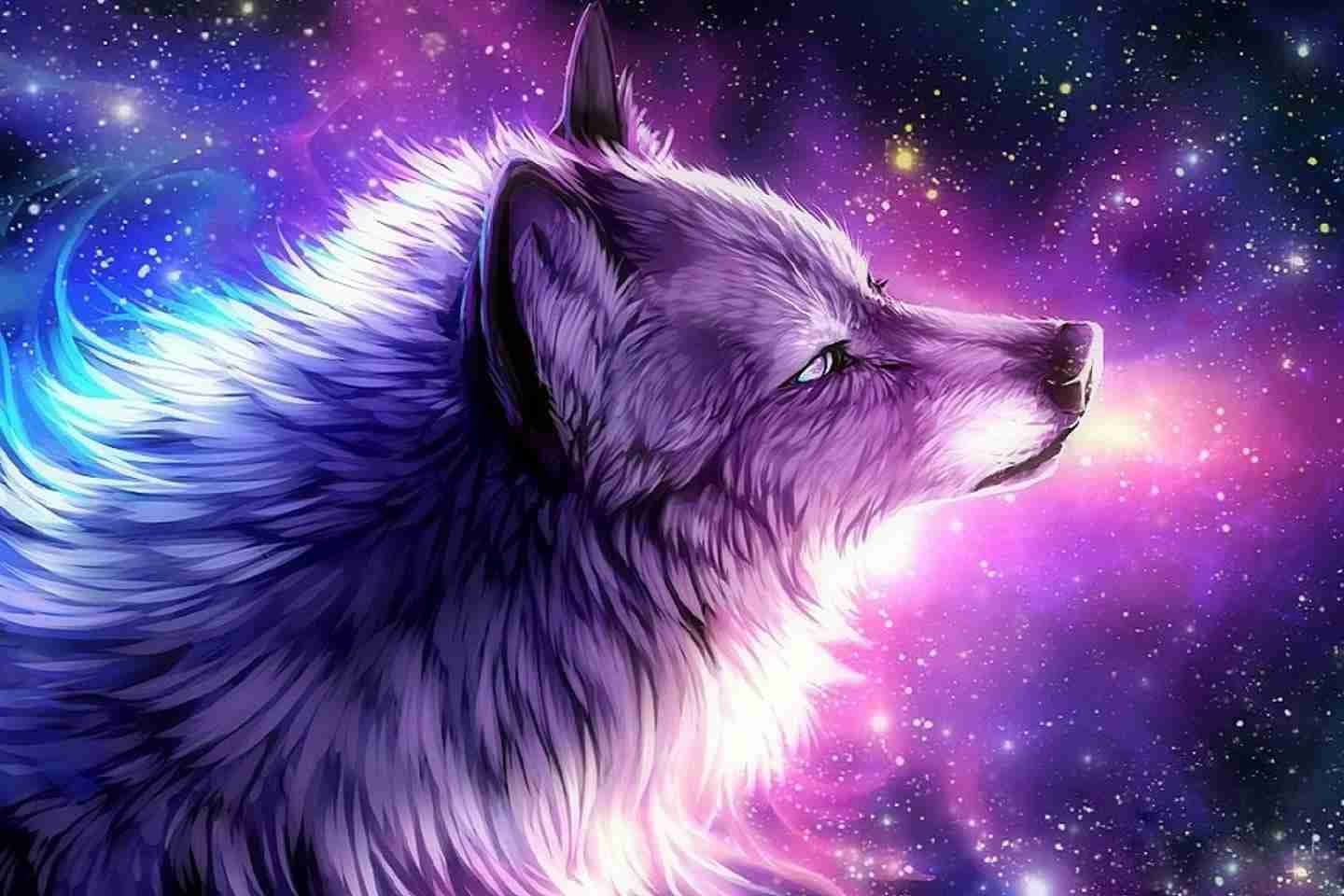 Galaxy Wolves, purple wolf, glowing fur, HD Desktop Wallpaper