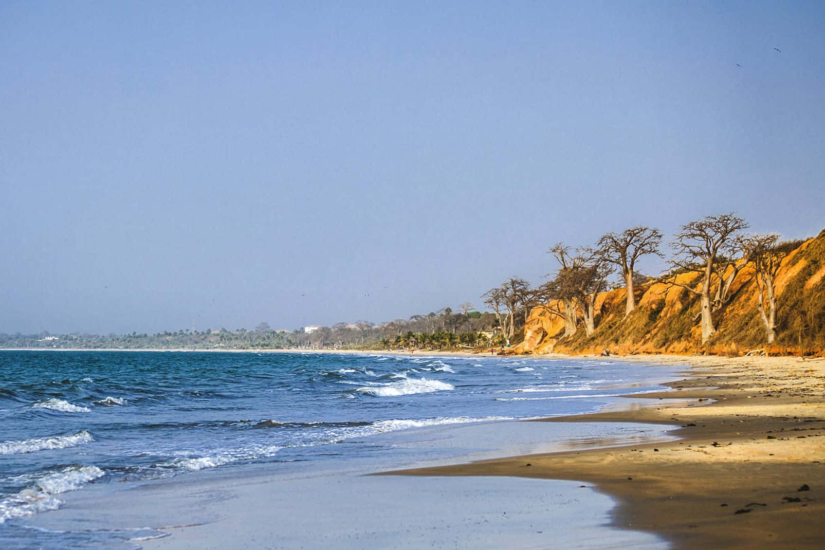Gambia River, baobab trees, turquoise waves, HD Desktop Wallpaper