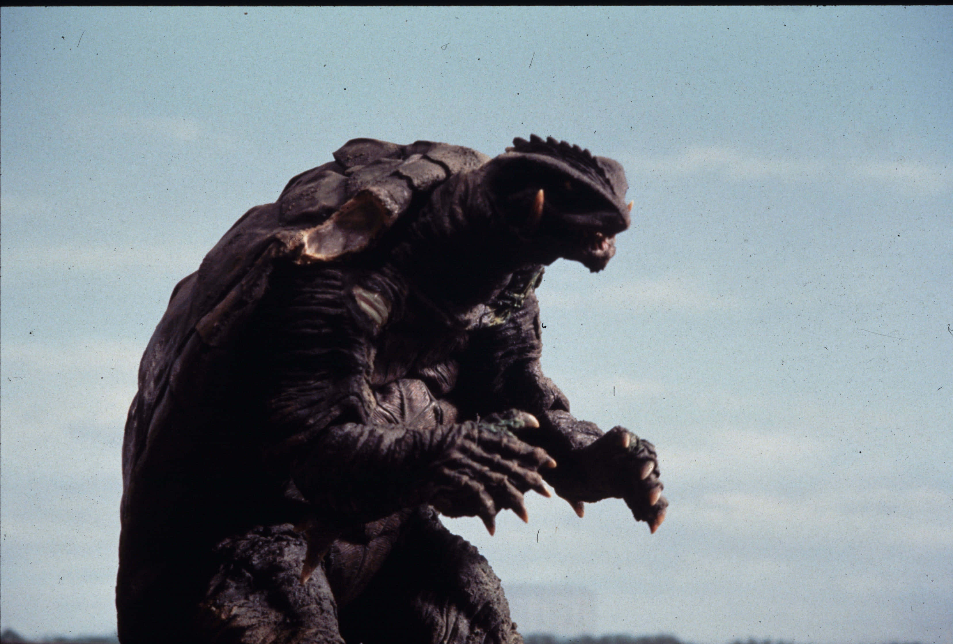 Gamera, dark gray, armored shell, 2K Desktop Wallpaper
