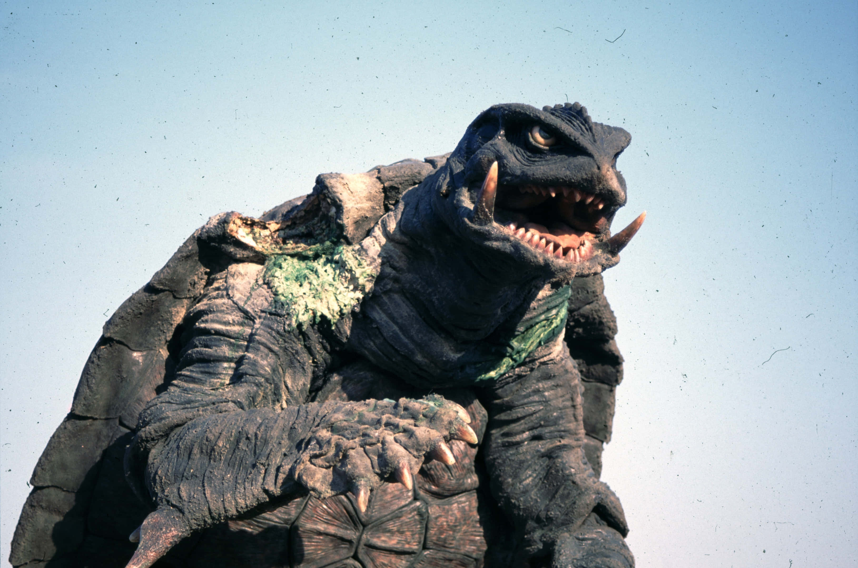 Gamera, kaiju monster, rugged shell, 2K Desktop Wallpaper