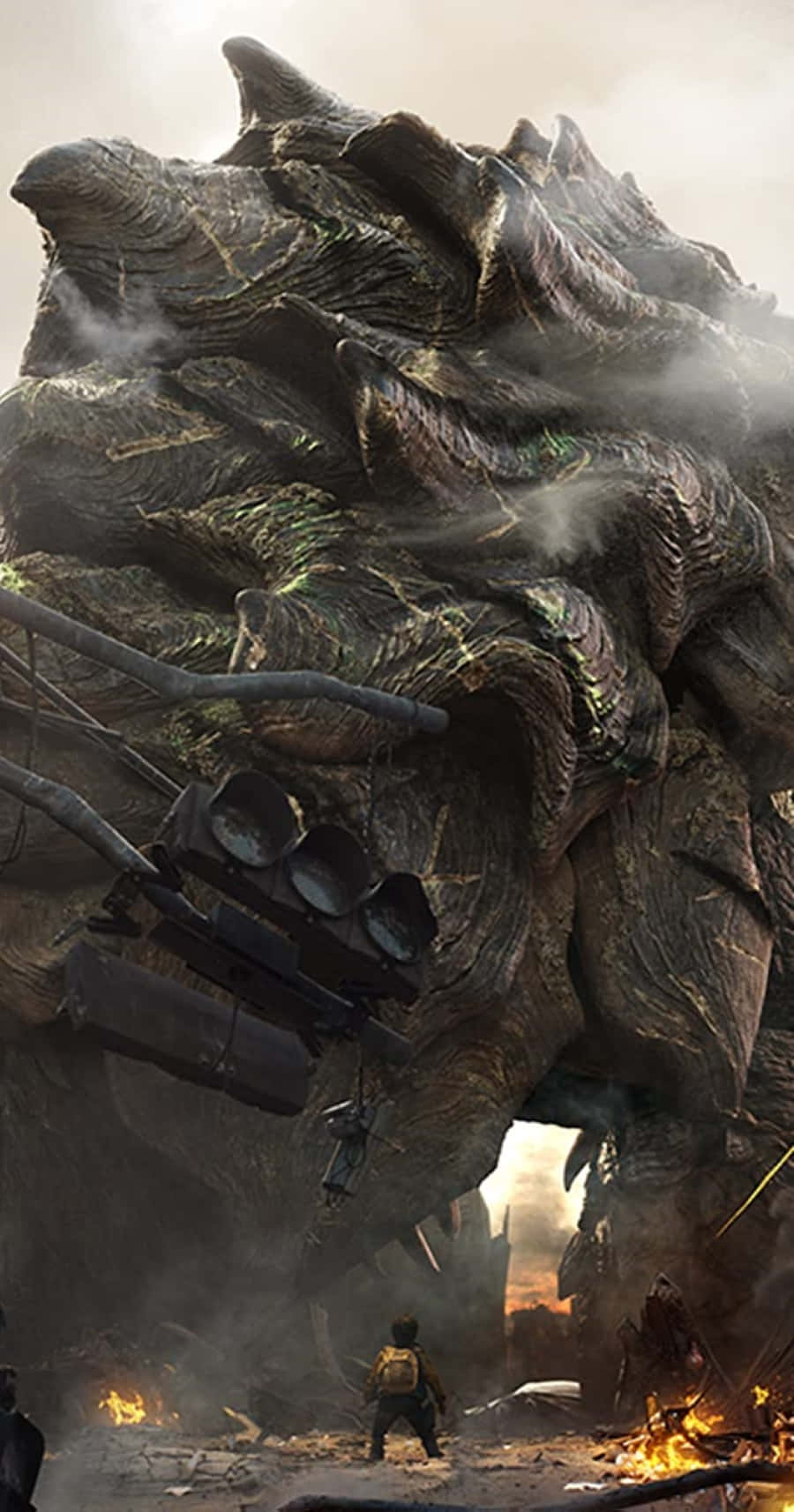 Gamera, colossal, textured monster, HD Phone Wallpaper