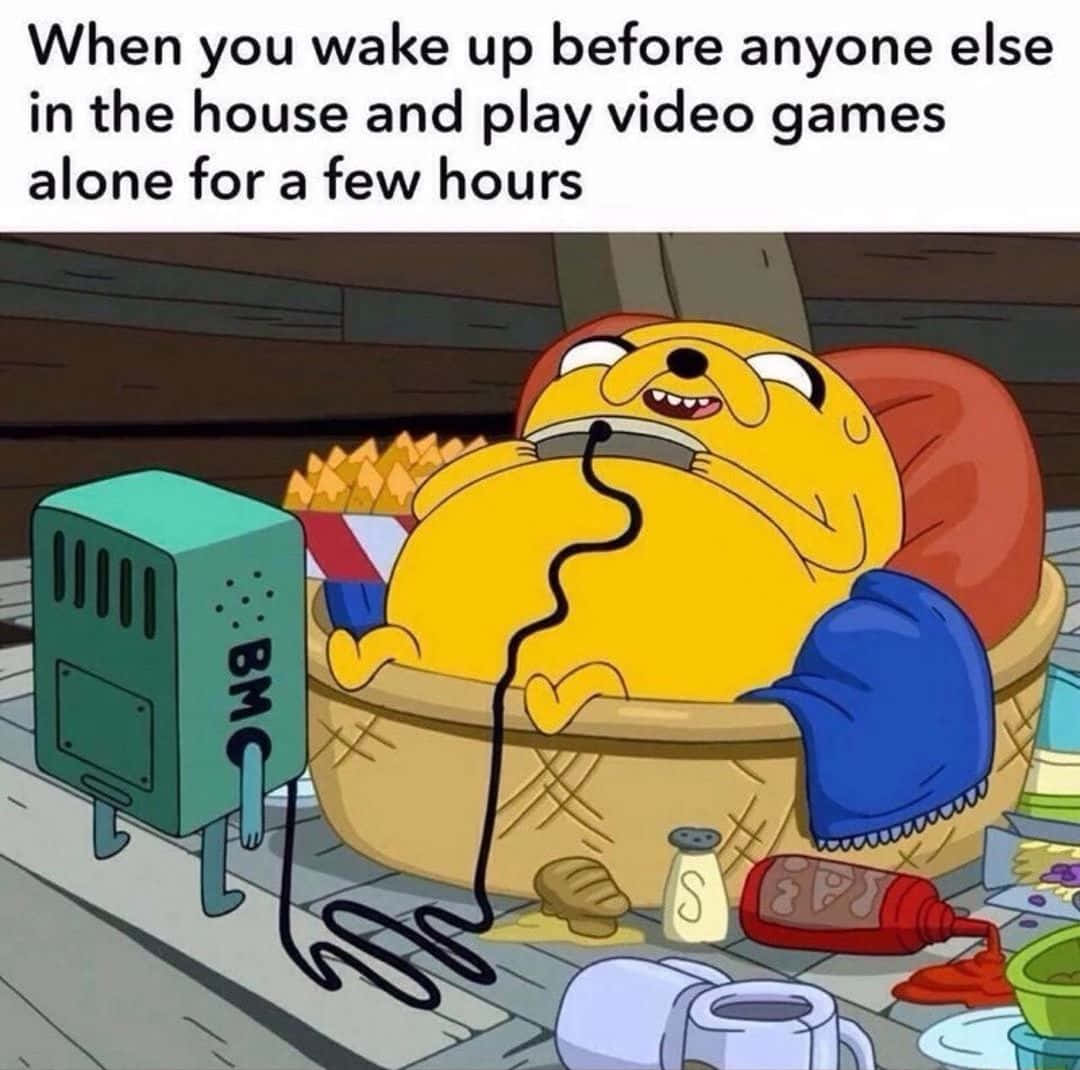 Gaming Memes, yellow cartoon dog, messy basket, SD Desktop Wallpaper