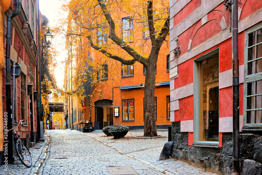 Gamla Stan, cobblestone alleyway, colorful historic buildings, SD Desktop Wallpaper