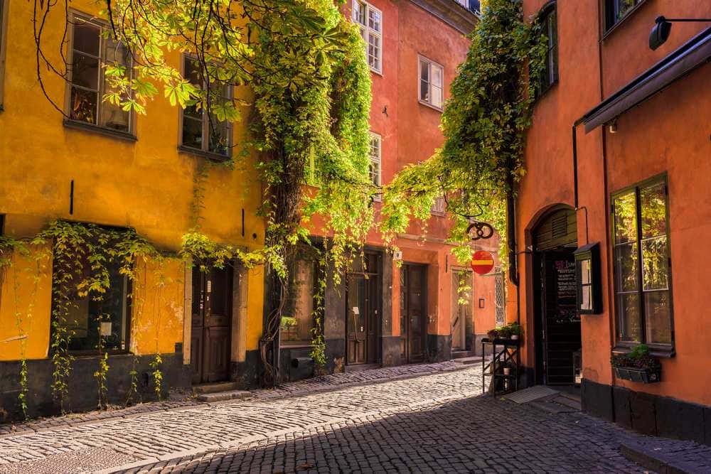 Gamla Stan, cobblestone alley, lush green vines, SD Desktop Wallpaper