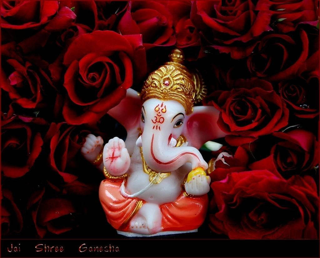Ganesh Ji HD, red roses, white and gold Ganesha figurine, SD Desktop Wallpaper