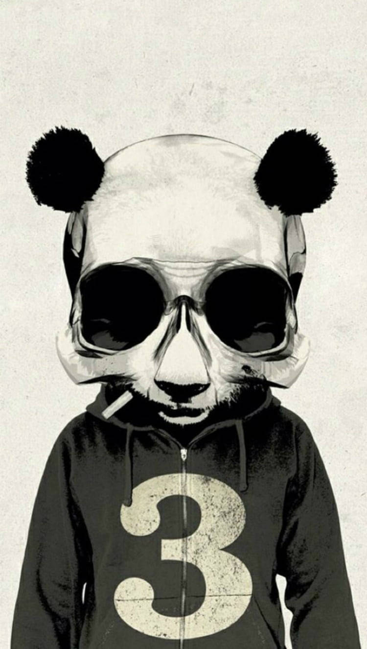 panda, oversized sunglasses, hoodie, HD Phone Wallpaper