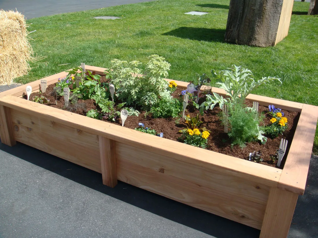 Garden Bed