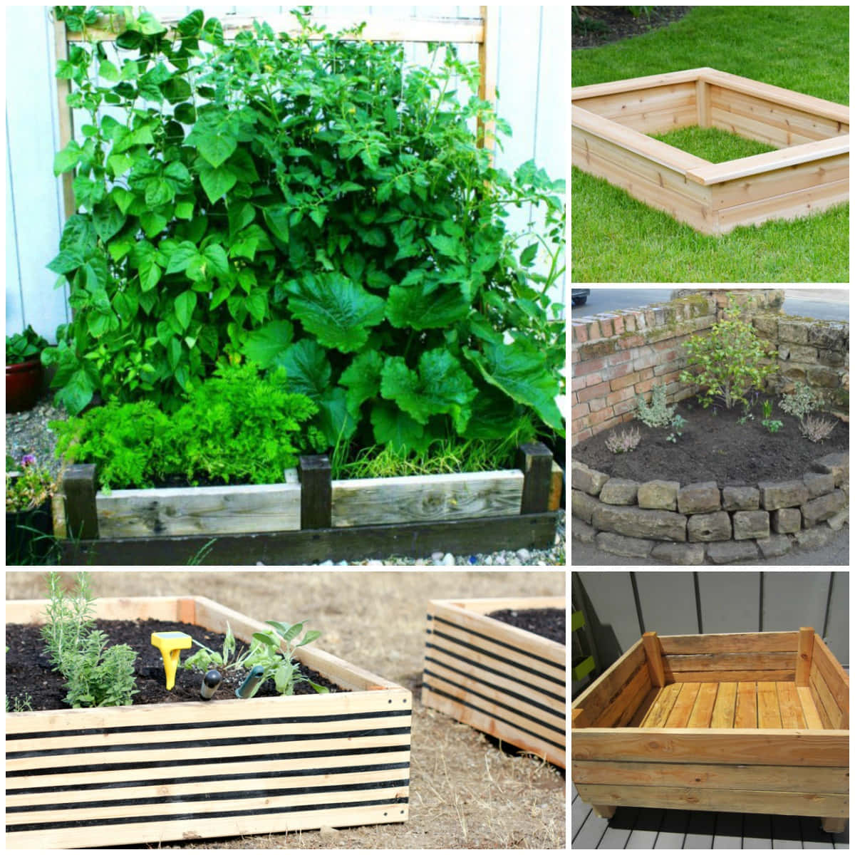 Garden Bed, wooden raised garden beds, lush green plants, SD Desktop Wallpaper