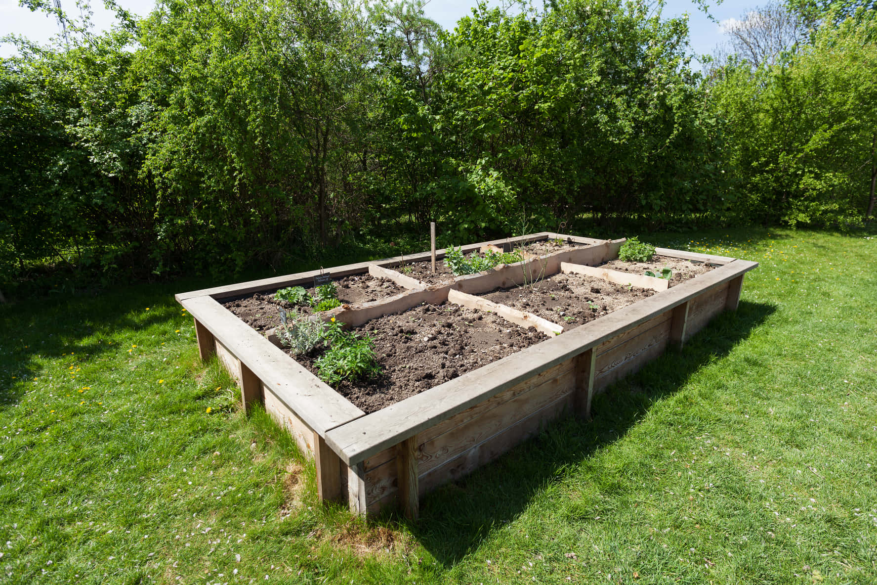 garden bed, wooden raised garden bed, soil, HD Desktop Wallpaper