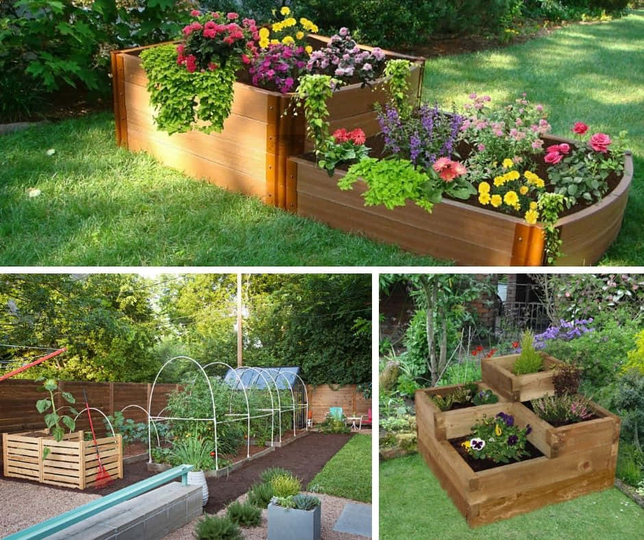 Garden Bed, wooden raised garden beds, colorful flowers, SD Desktop Wallpaper