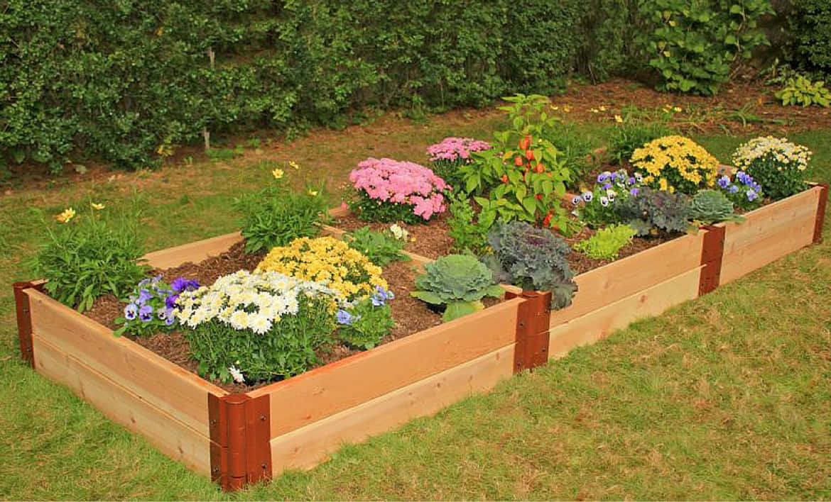garden bed, wooden raised garden bed, colorful flowers, SD Desktop Wallpaper