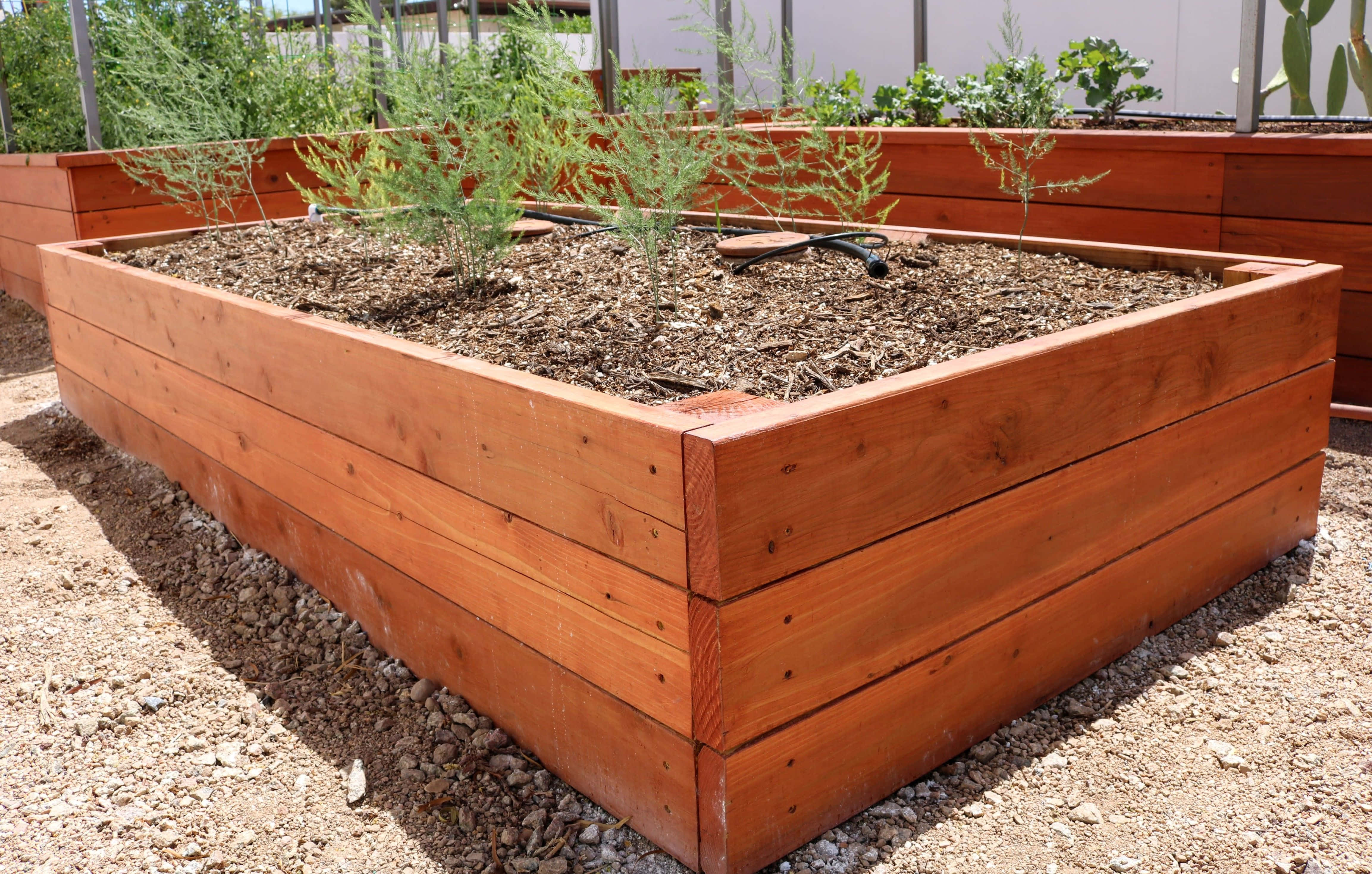 garden bed, wooden raised garden bed, mulch, 4K Desktop Wallpaper