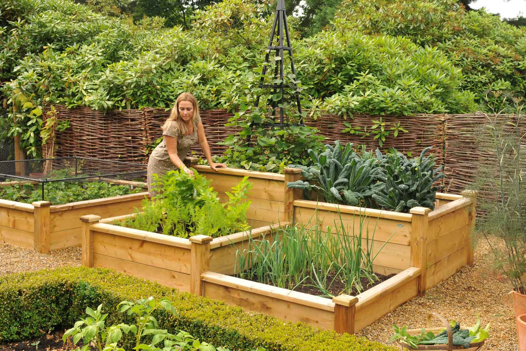 garden bed, wooden raised garden beds, dense foliage, HD Desktop Wallpaper