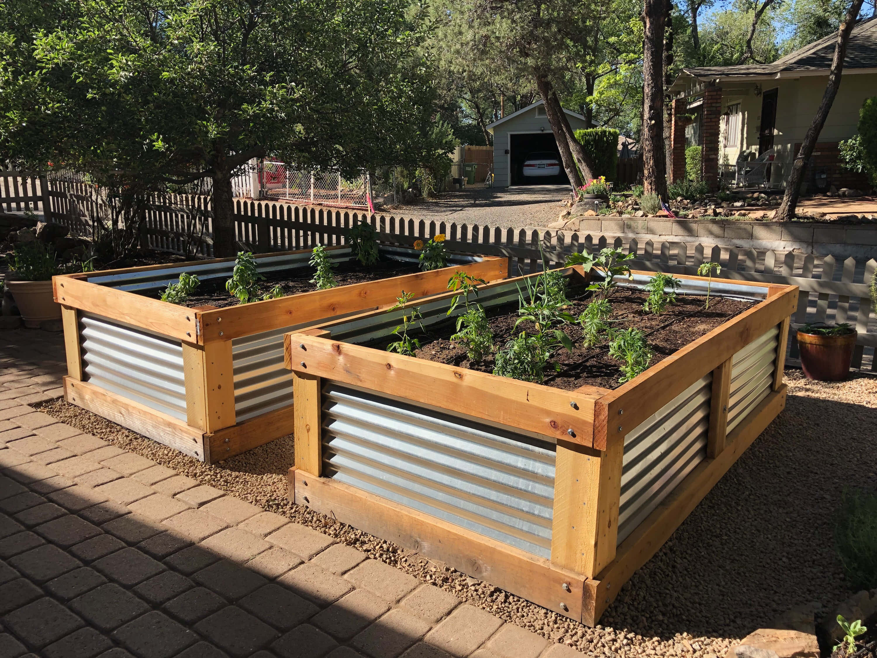 Garden Bed, wooden raised garden beds, corrugated metal sides, 2K Desktop Wallpaper