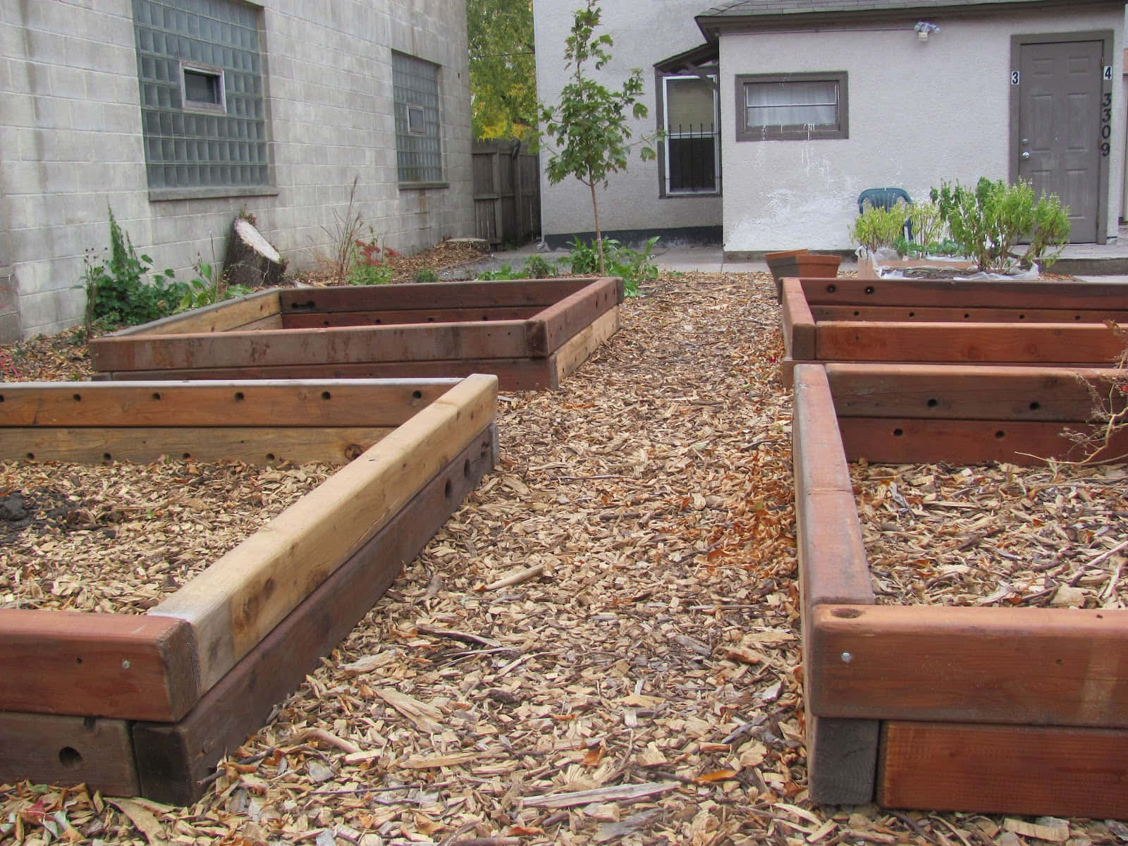 garden bed, wooden raised garden beds, mulch, HD Desktop Wallpaper