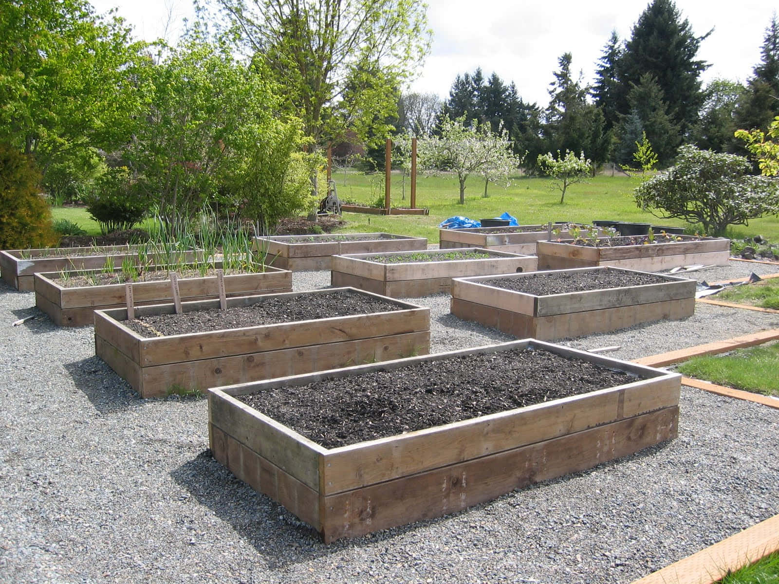 garden bed, wooden raised garden beds, gravel, HD Desktop Wallpaper