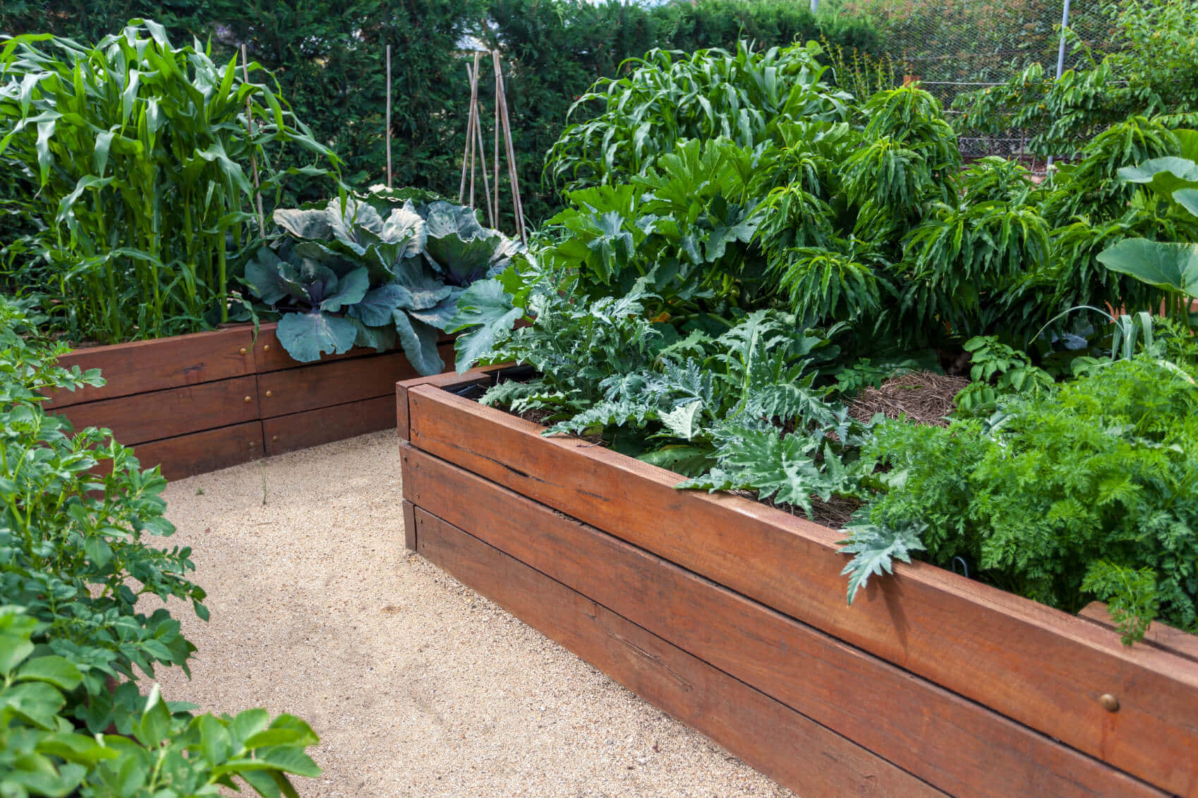 garden bed, wooden raised garden beds, gravel paths, HD Desktop Wallpaper