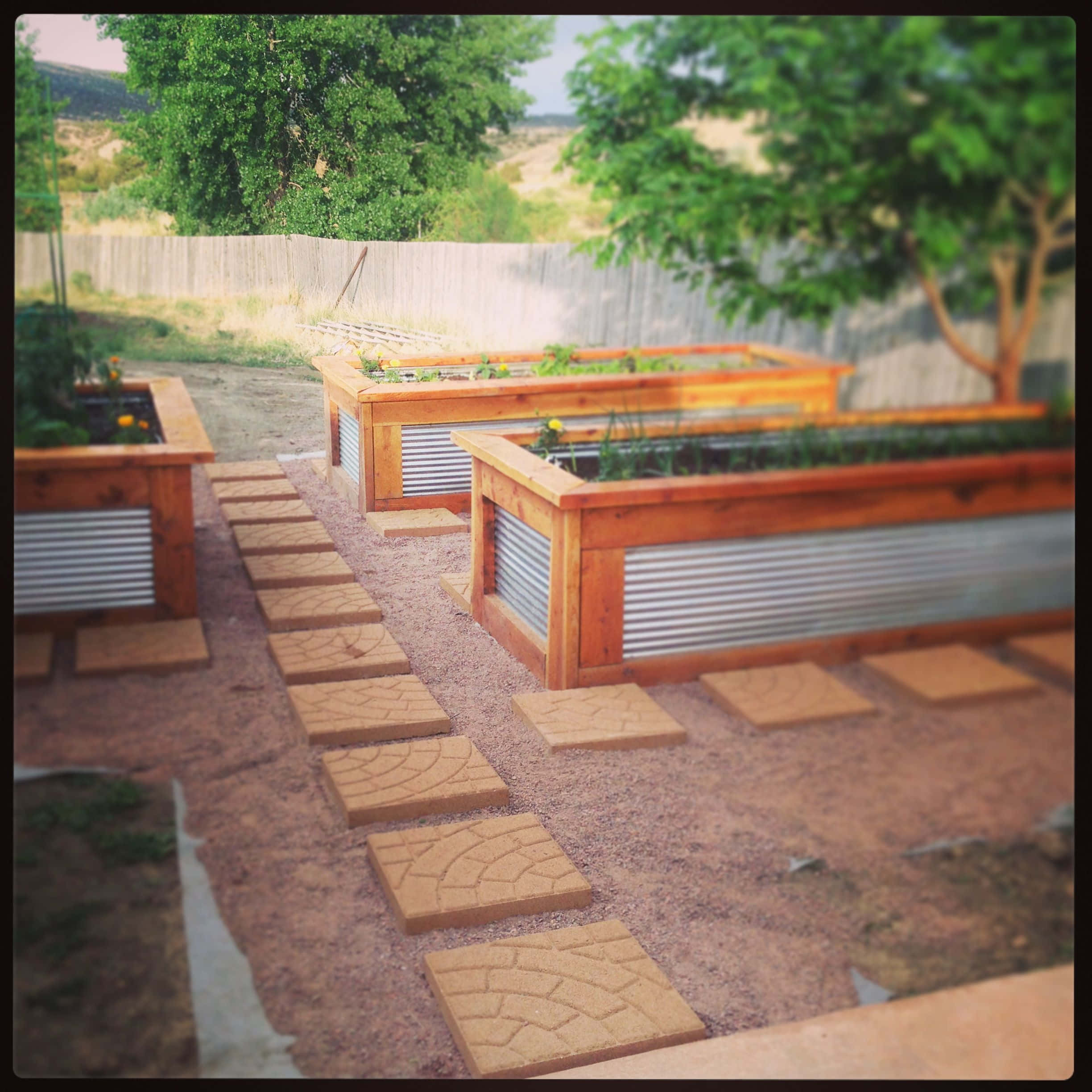 rustic backyard garden, wooden raised beds, corrugated metal, Full HD Desktop Wallpaper