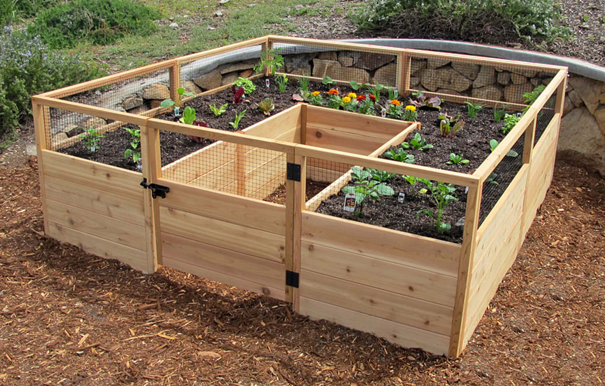 garden bed, wooden raised garden bed, wire mesh fencing, Full HD Desktop Wallpaper
