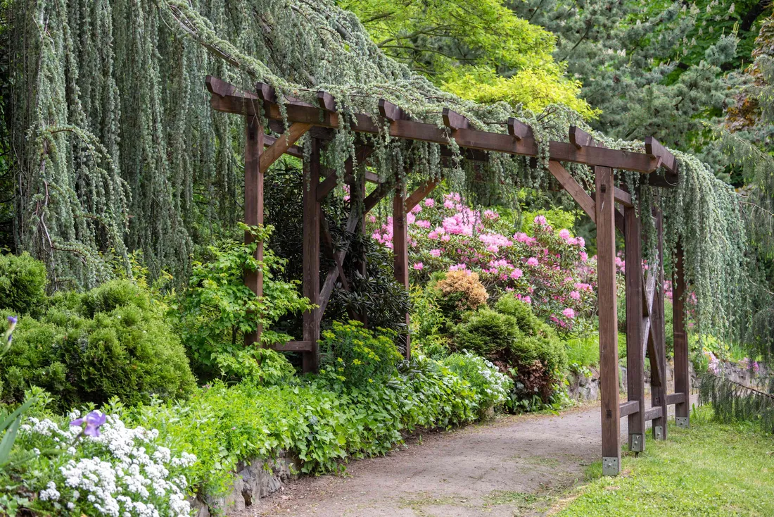 Garden Design