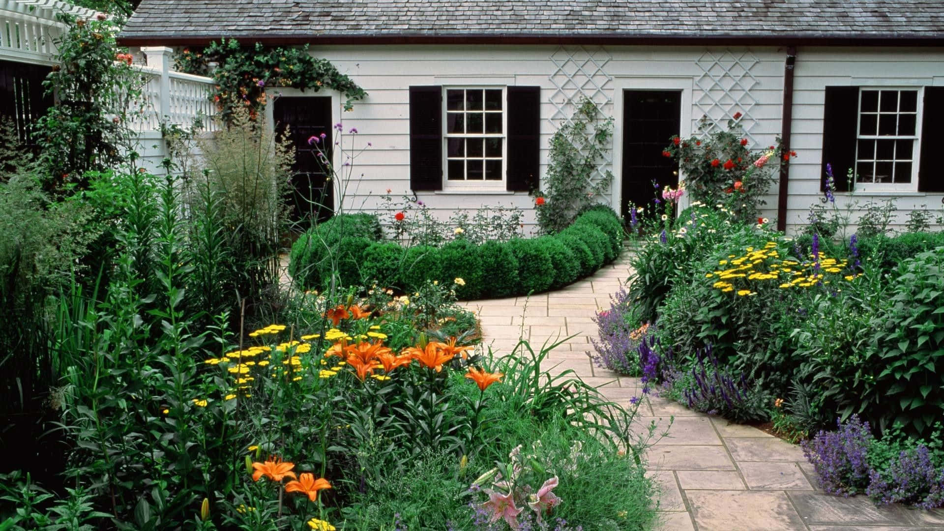 cottage garden, white cottage, black shutters, Full HD Desktop Wallpaper