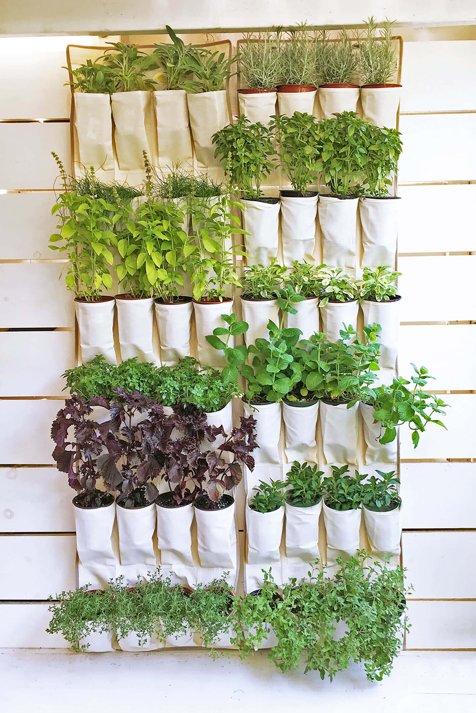 herb garden, vertical herb garden, white fabric pockets, Full HD Phone Wallpaper