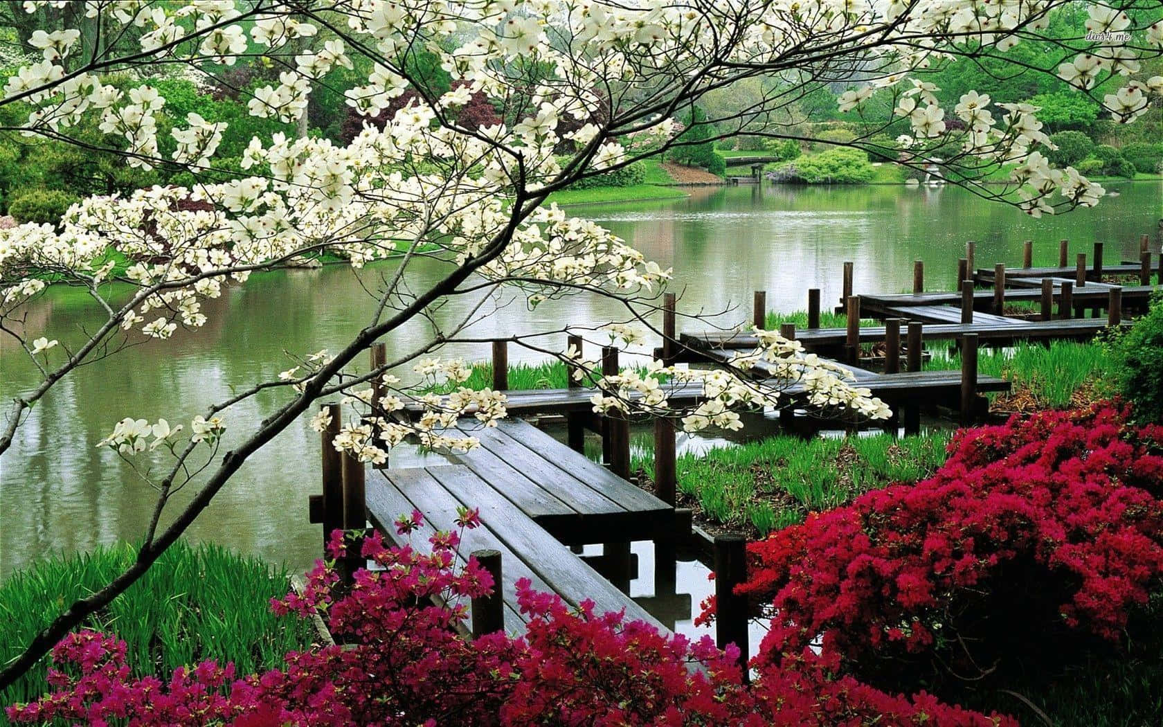 garden design, wooden pier, calm pond, HD Desktop Wallpaper