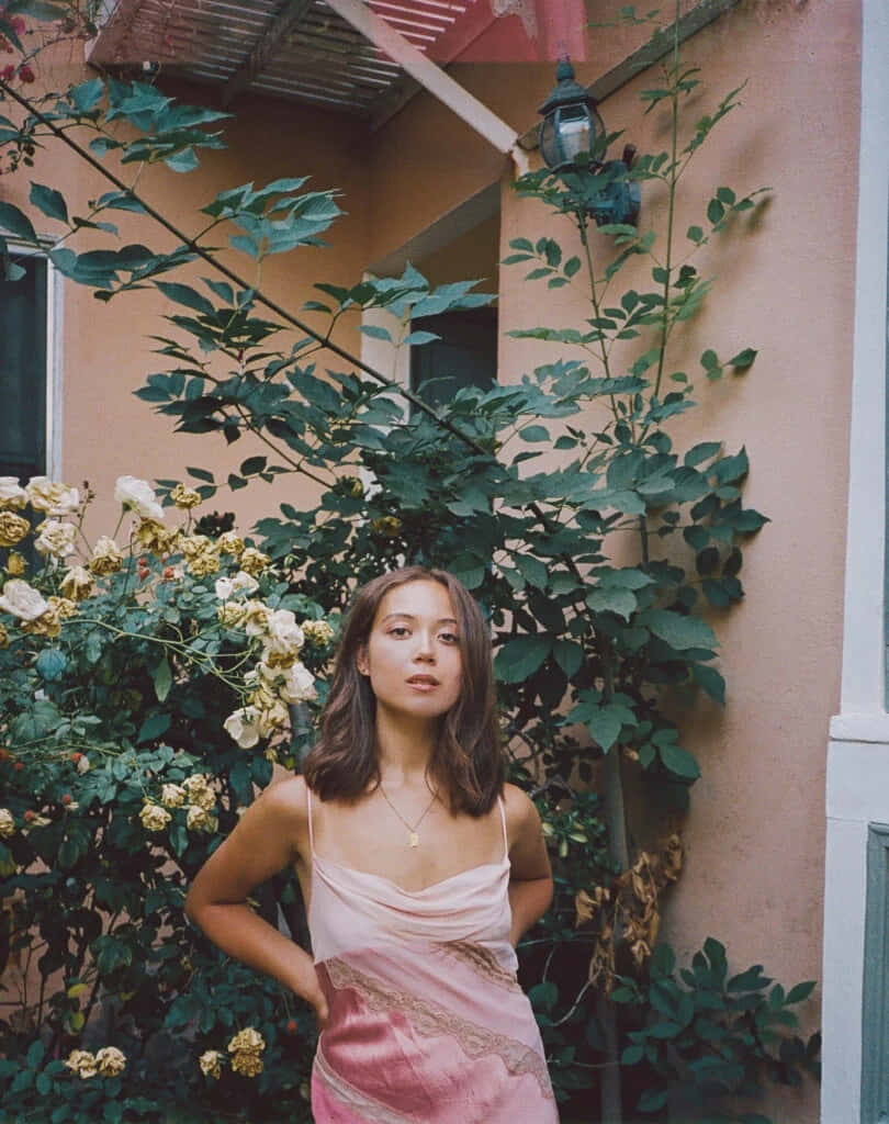 elegant woman, pink dress, lush green rose bushes, SD Phone Wallpaper
