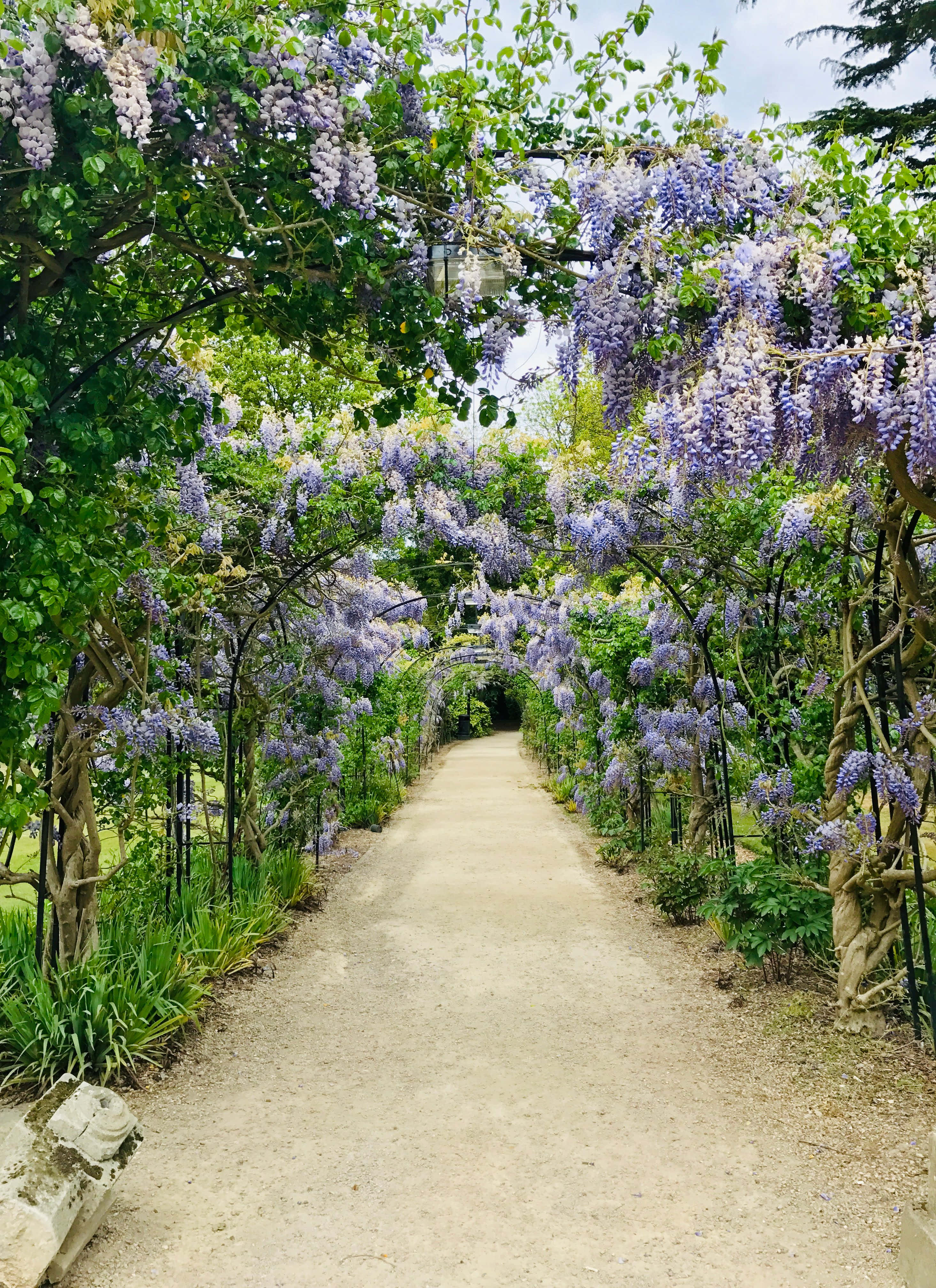 garden photography, green garden, lush archway, 4K Phone Wallpaper